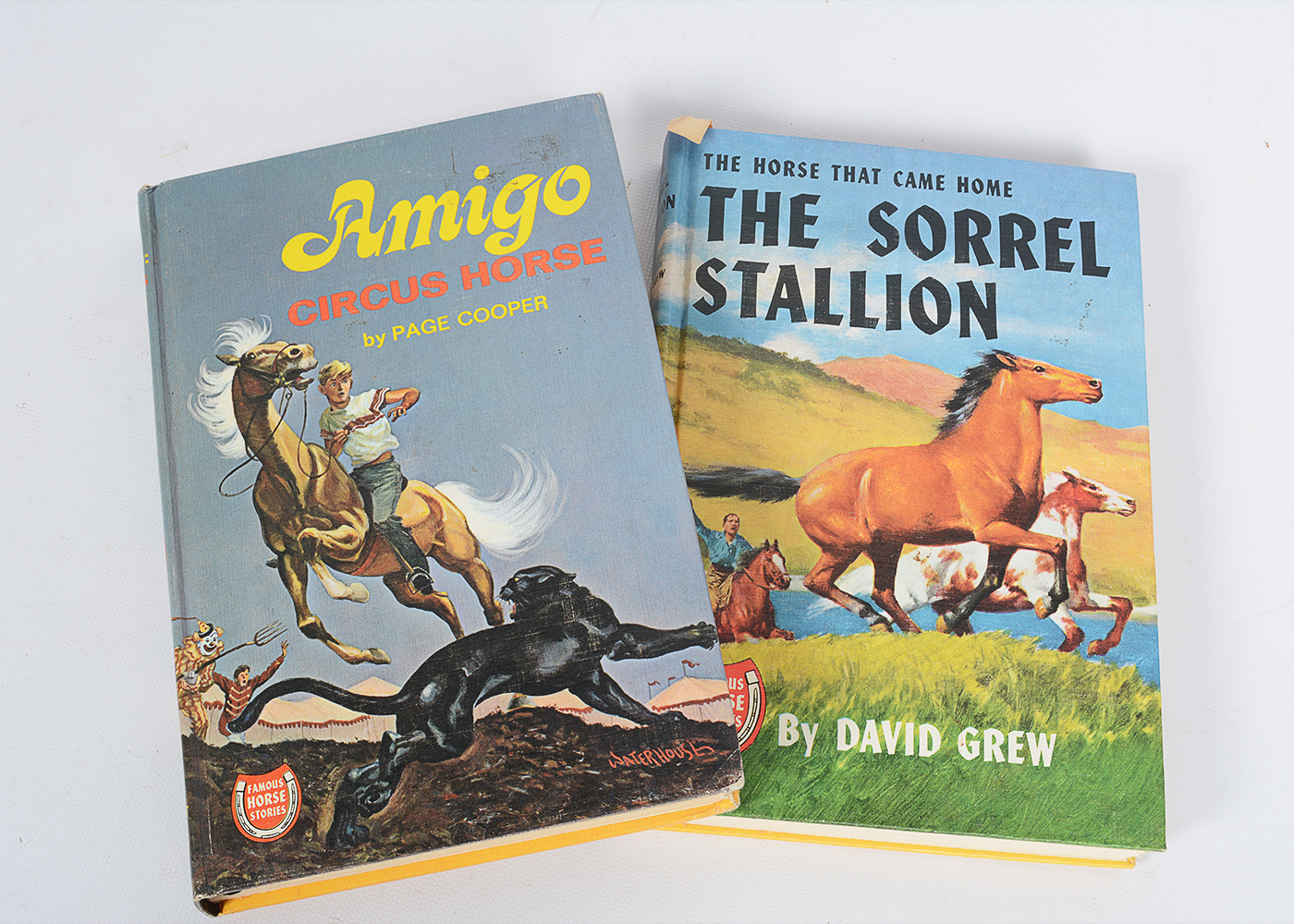Collection of Vintage "Famous Horse Stories" Books