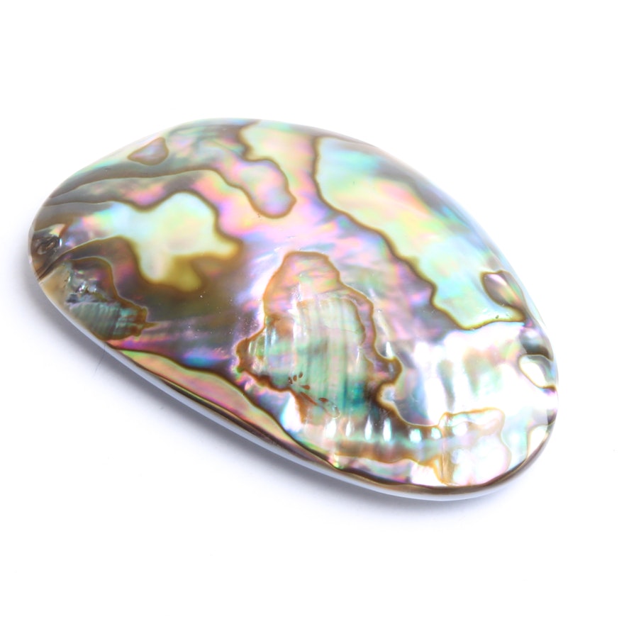 Unmounted Mother-of-Pearl Abalone Shell