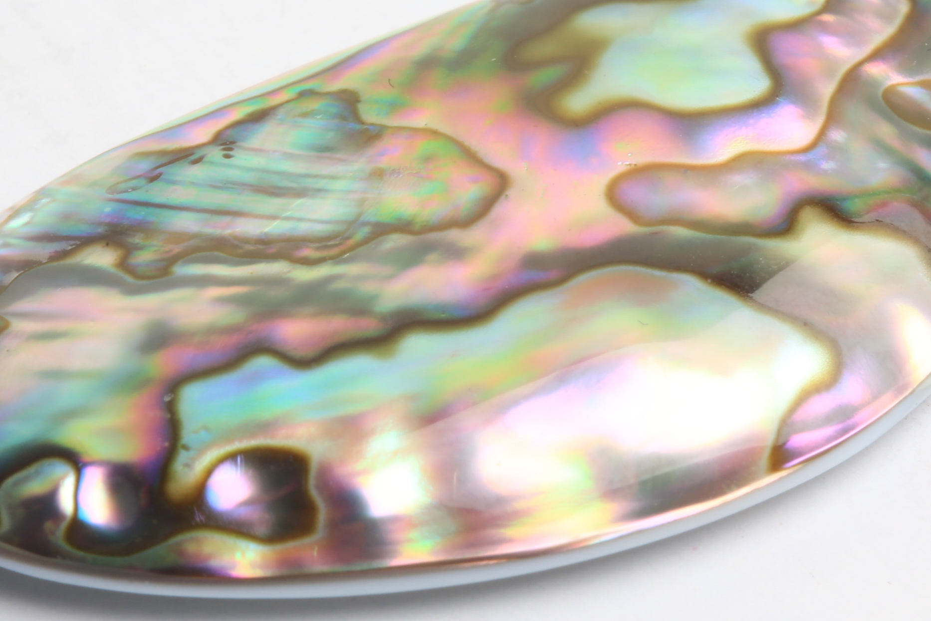 Unmounted Mother-of-Pearl Abalone Shell