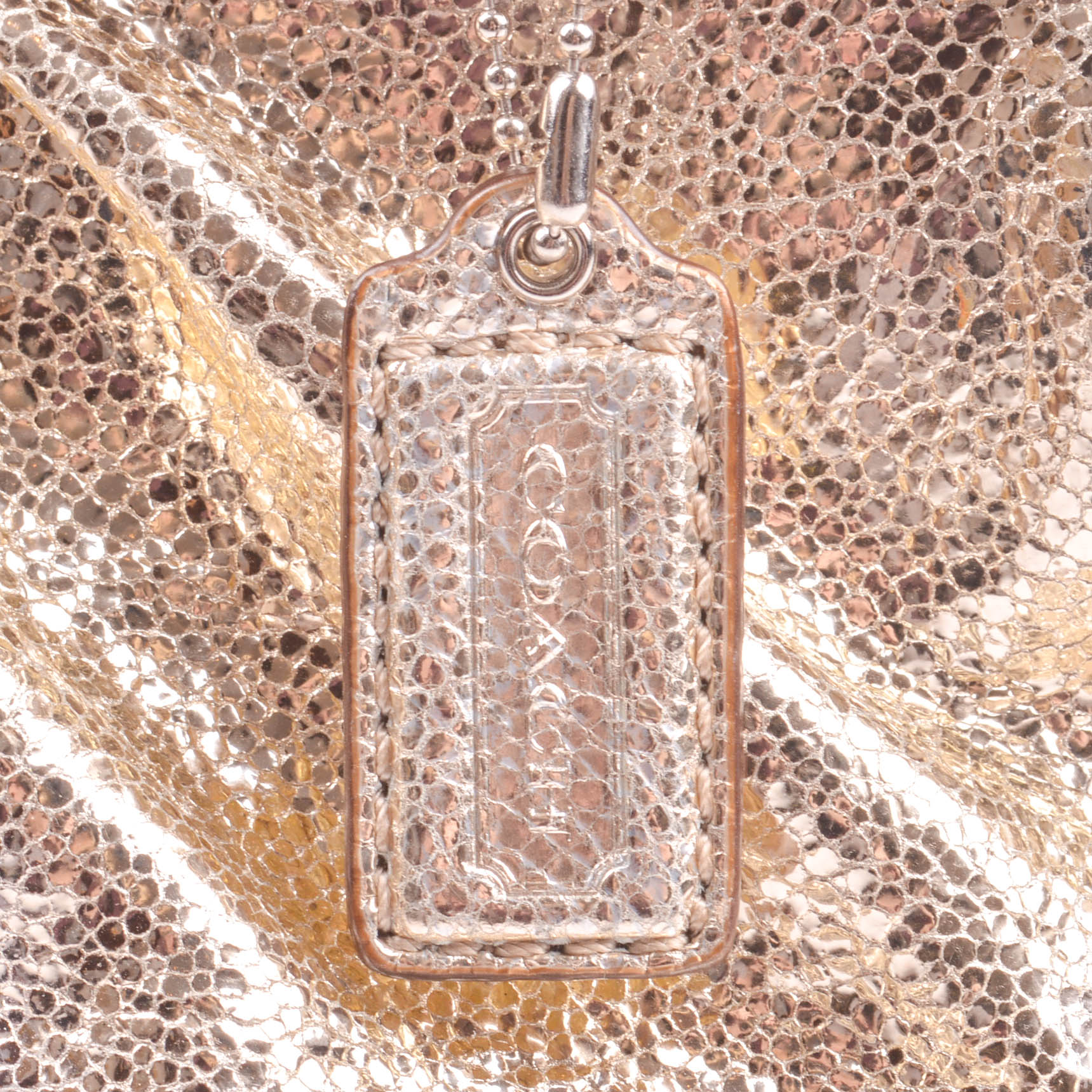 Metallic Coach Evening Bag