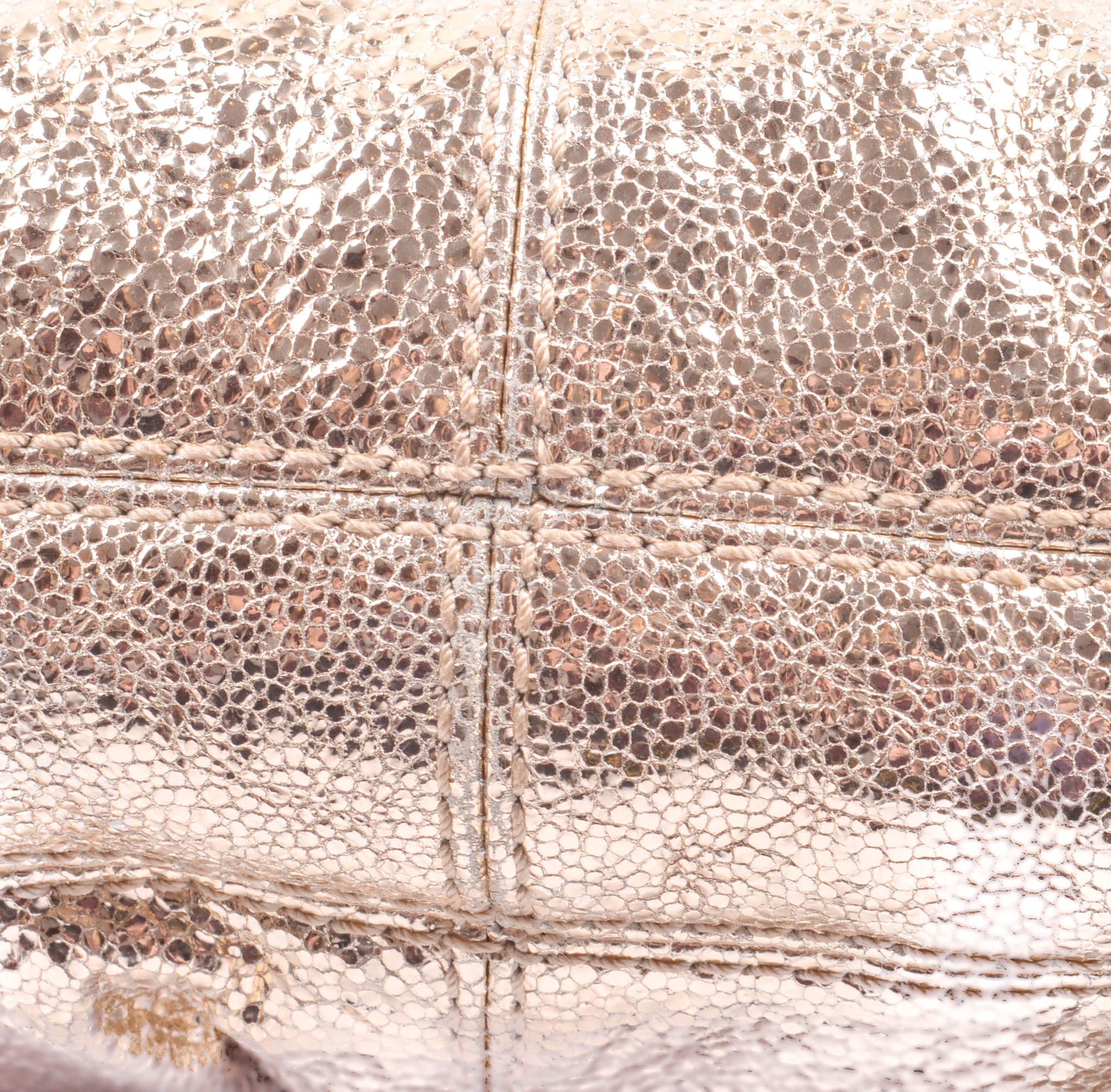 Metallic Coach Evening Bag