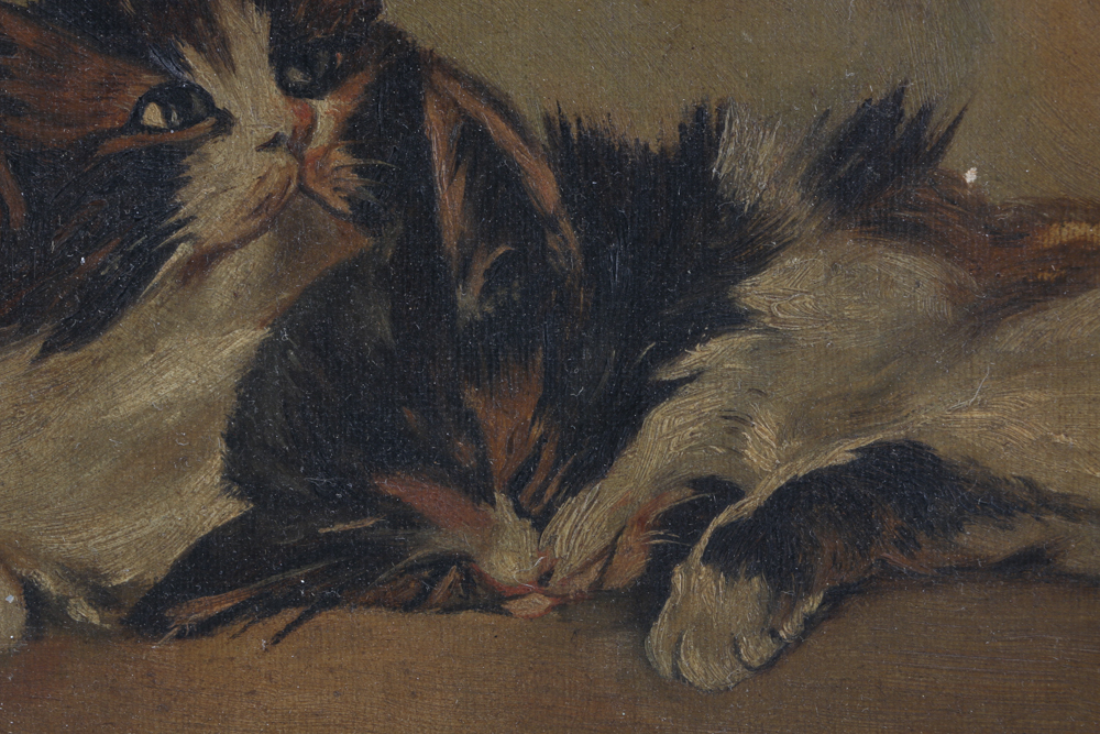 Original Oil Painting of Kittens