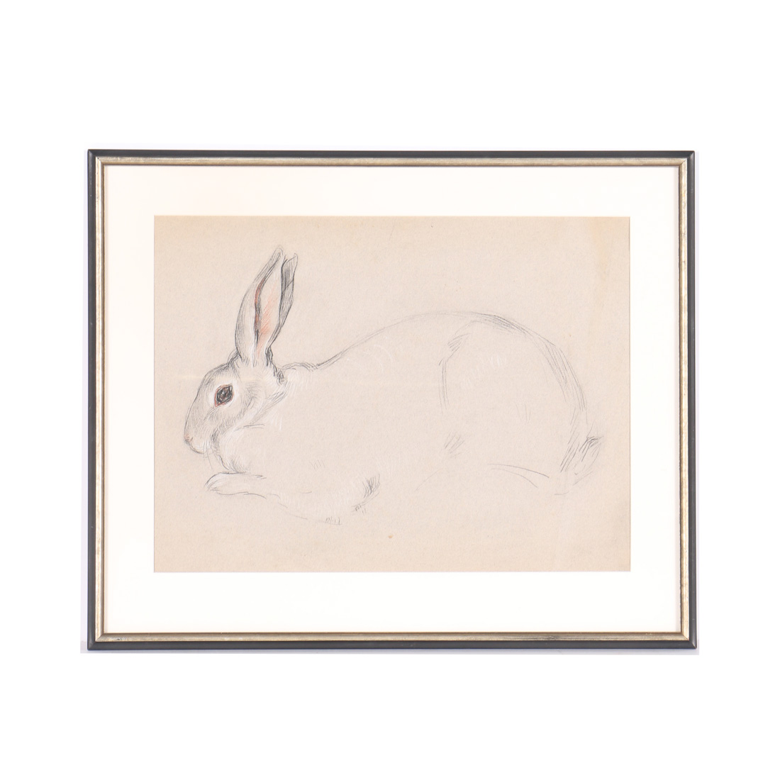 Emily B. Waite Conté Crayon Drawing on Paper of a Rabbit