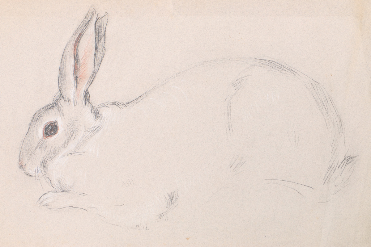 Emily B. Waite Conté Crayon Drawing on Paper of a Rabbit