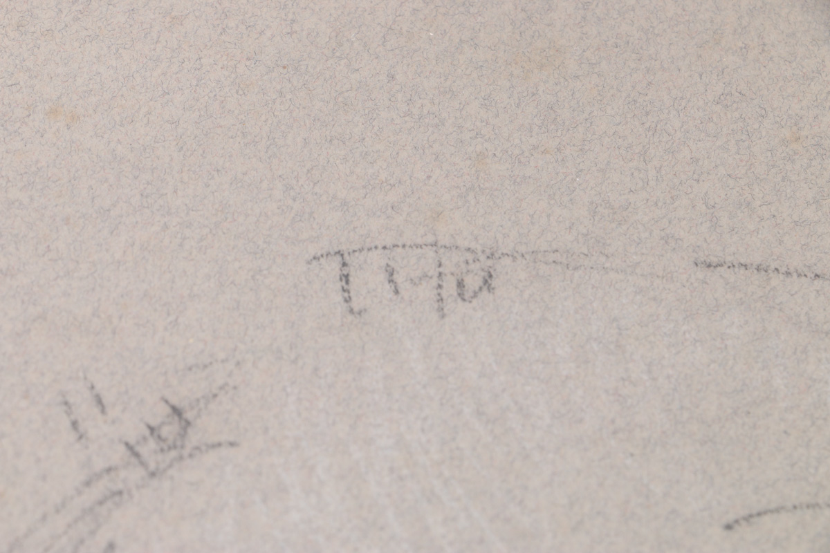 Emily B. Waite Conté Crayon Drawing on Paper of a Rabbit