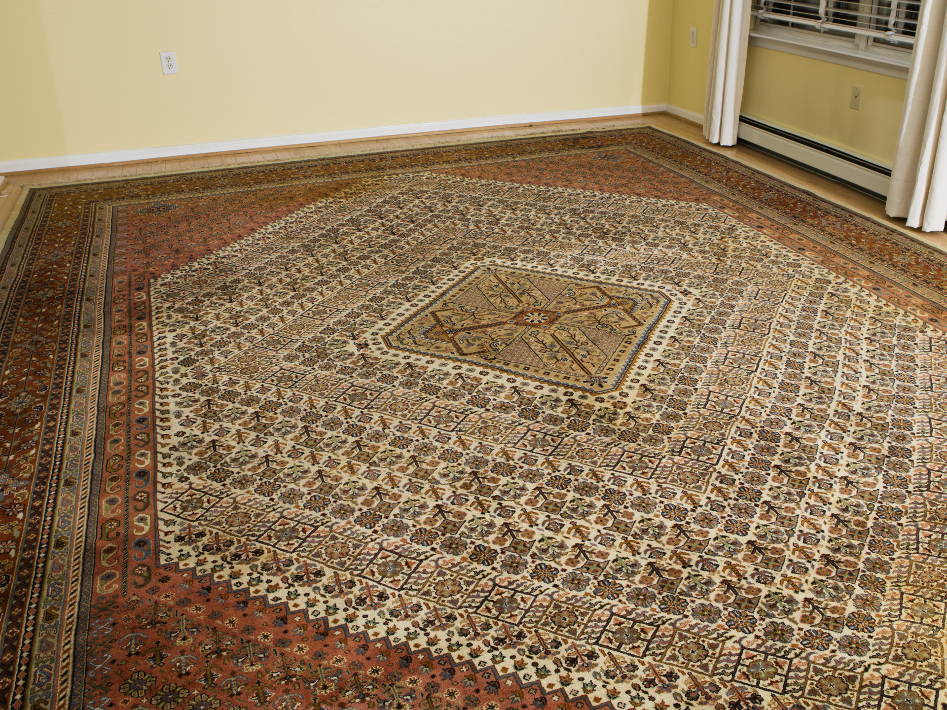 Room-Sized Hand-Knotted Indian Nizam Area Rug