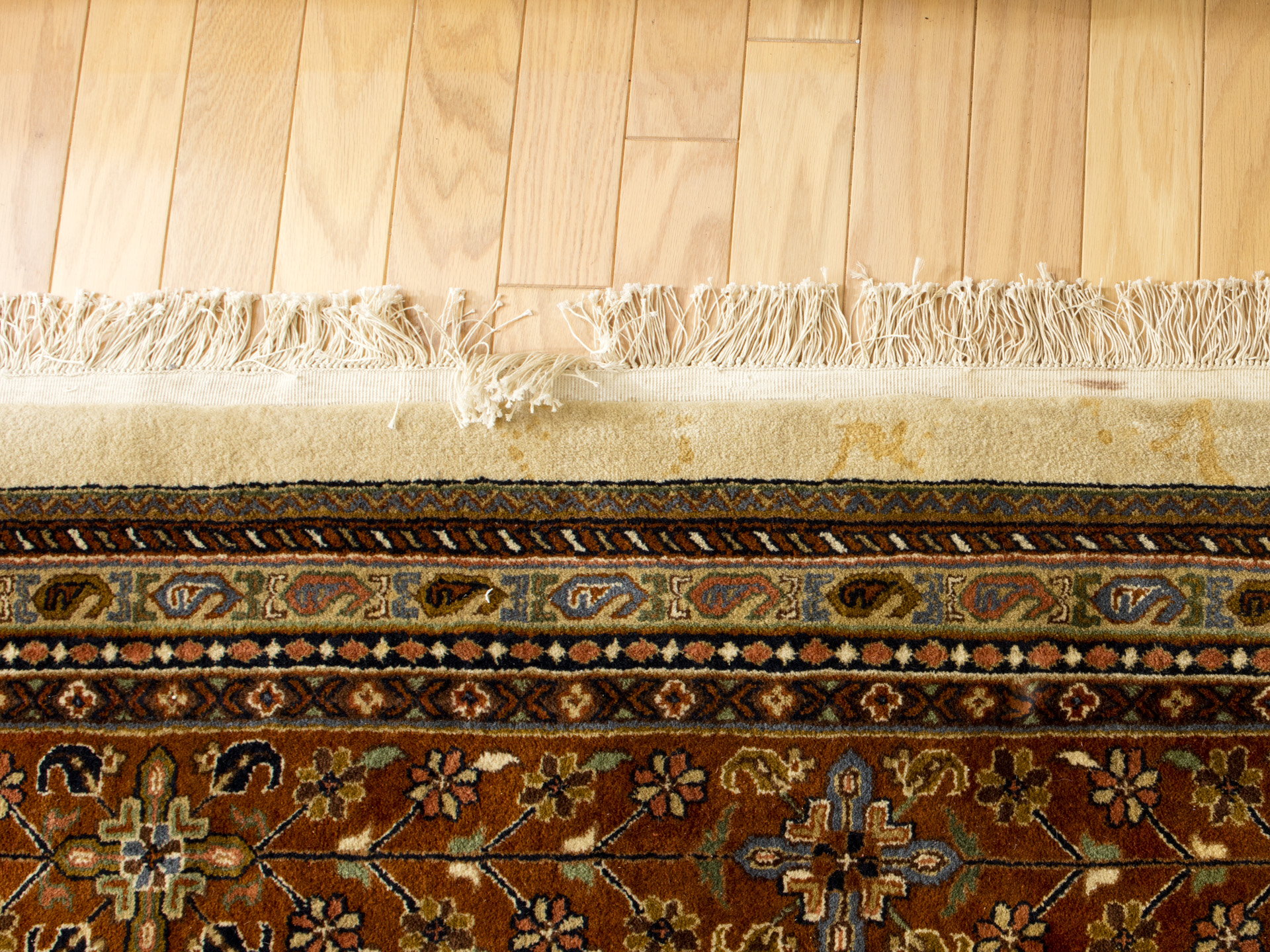 Room-Sized Hand-Knotted Indian Nizam Area Rug