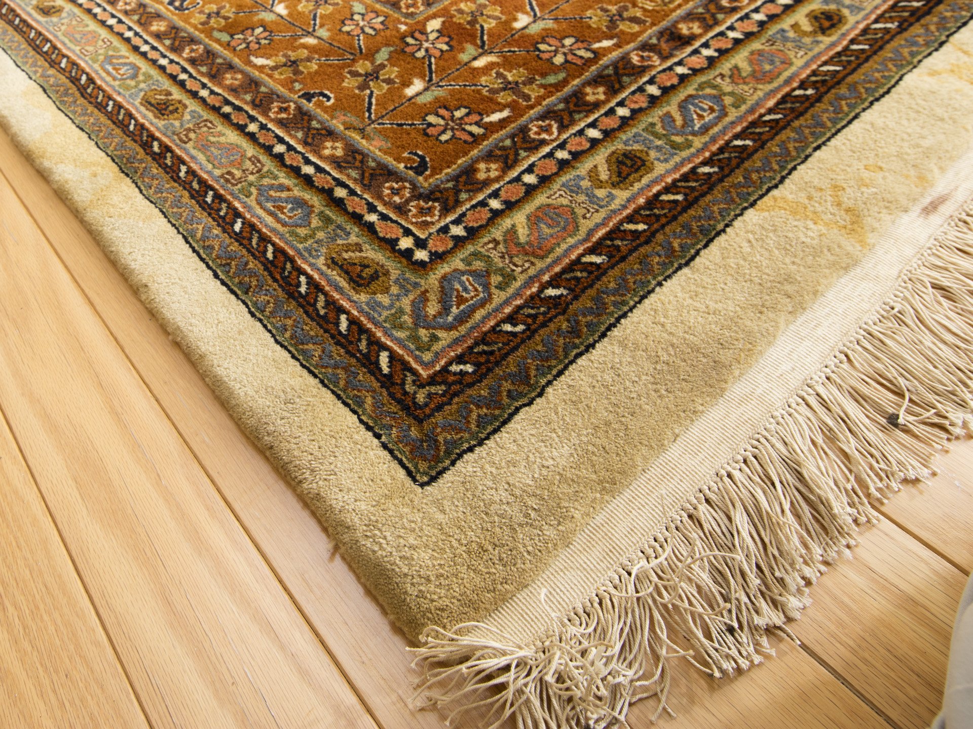 Room-Sized Hand-Knotted Indian Nizam Area Rug