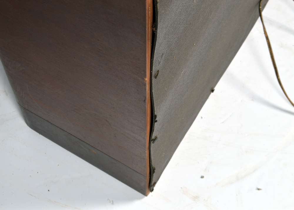 TrueTone Floor Radio