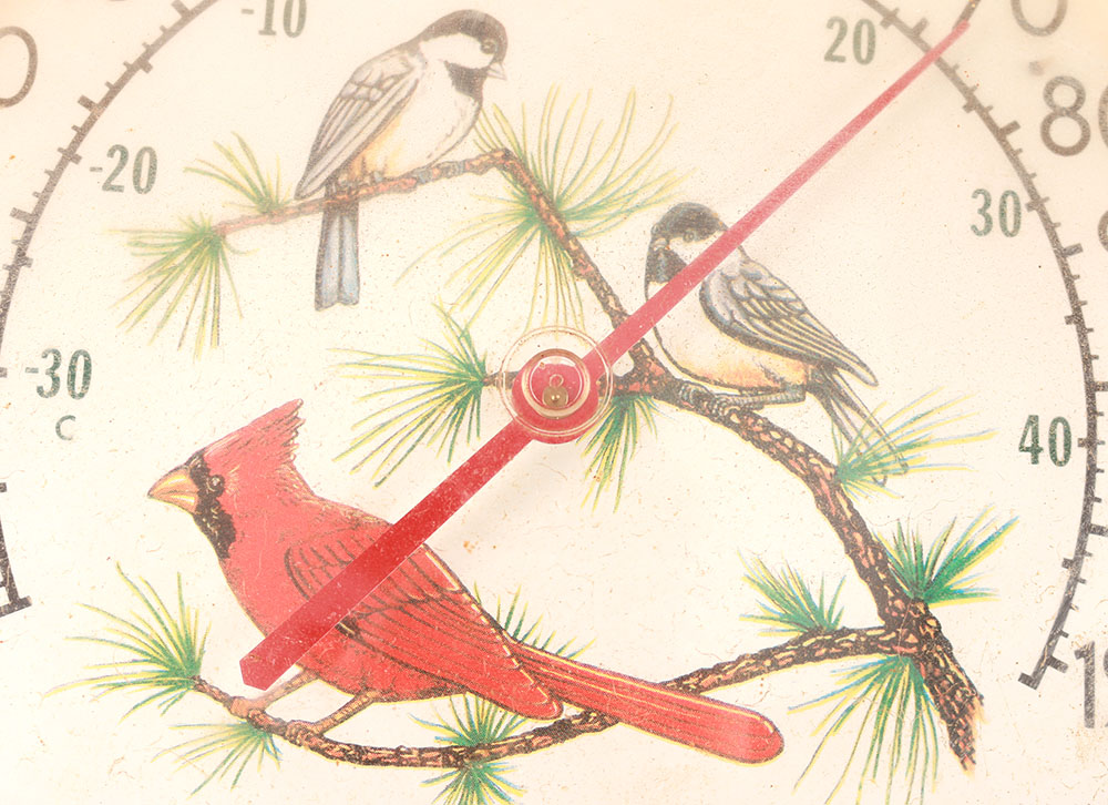 LL Bean Thermometer EBTH