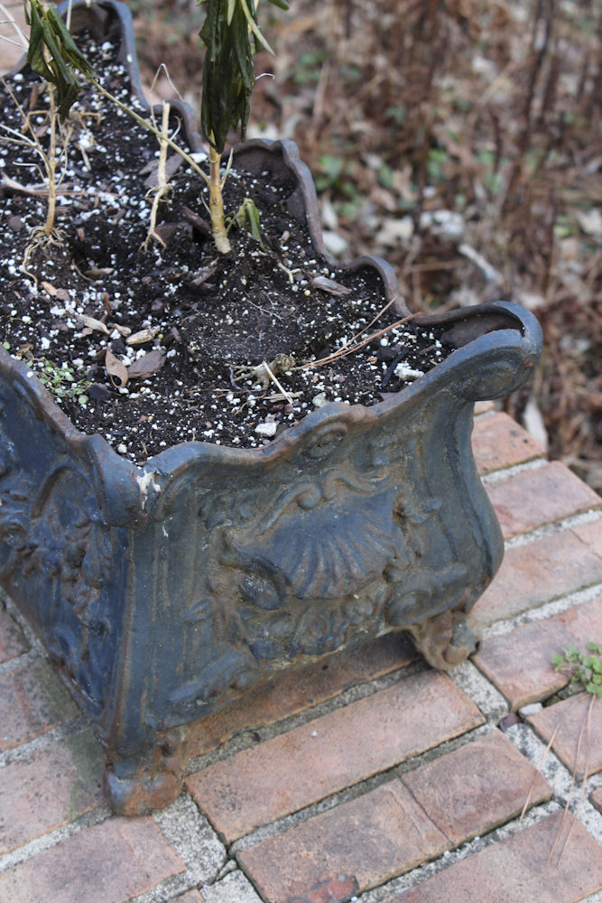 Cast Iron Flower Planter Boxes