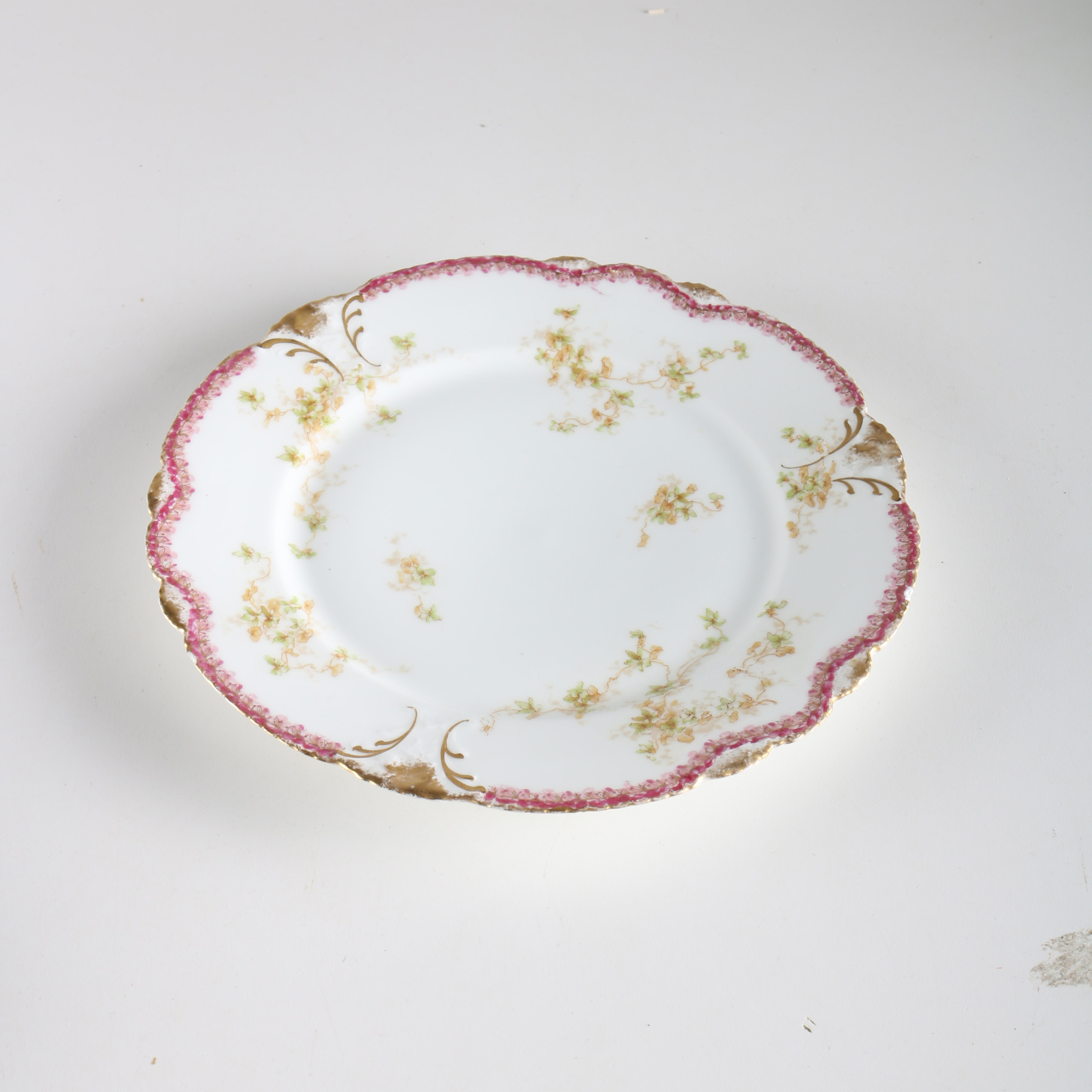 Theodore Haviland Limoges Dinner Plate