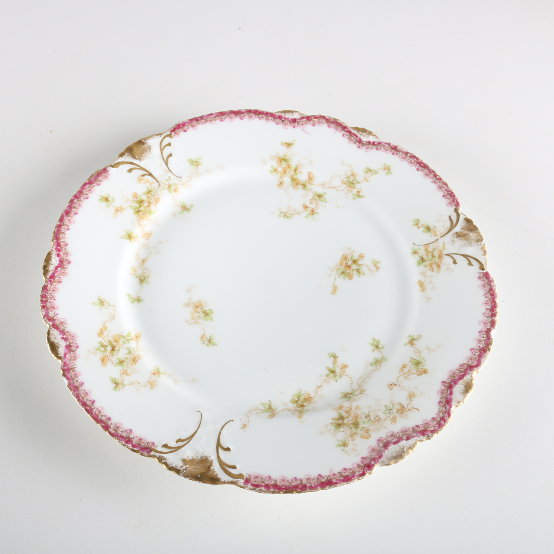 Theodore Haviland Limoges Dinner Plate