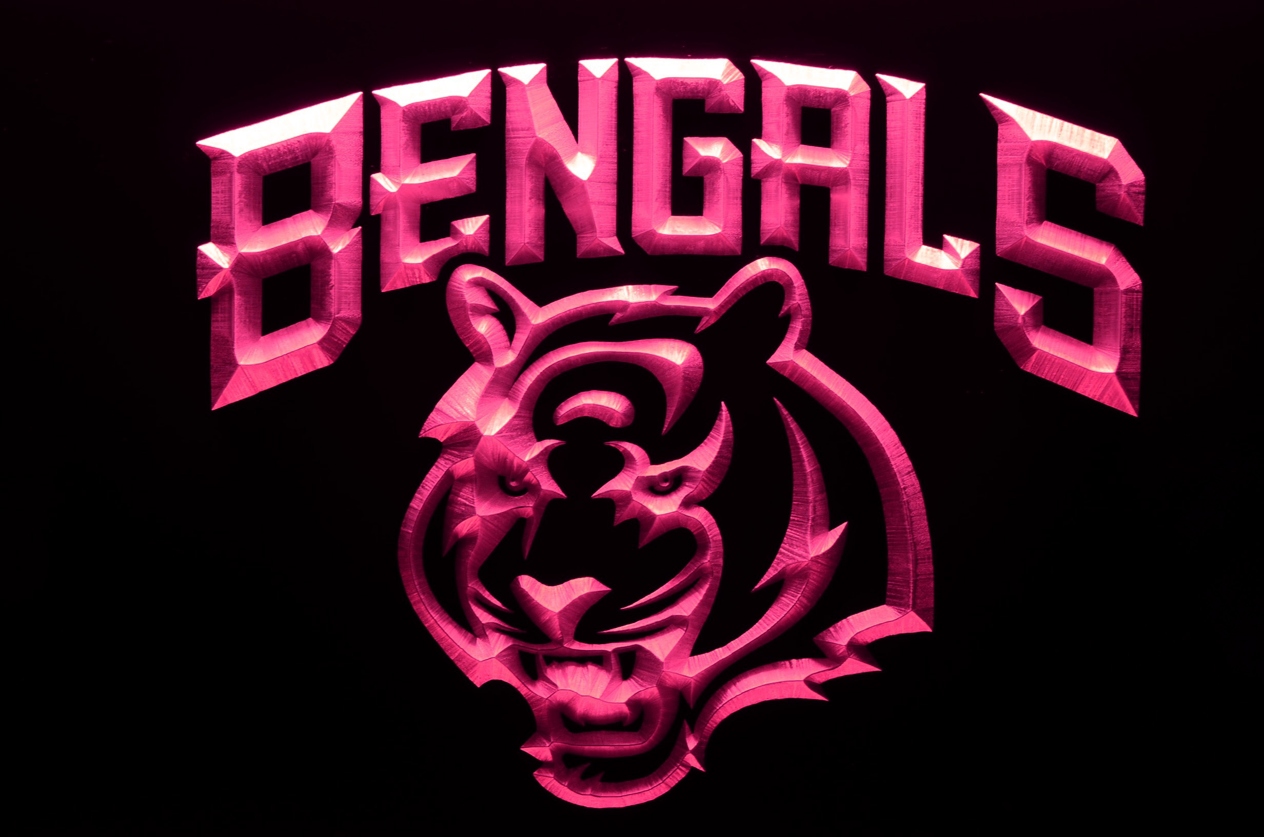 Cincinnati Bengals Light-Up Sign