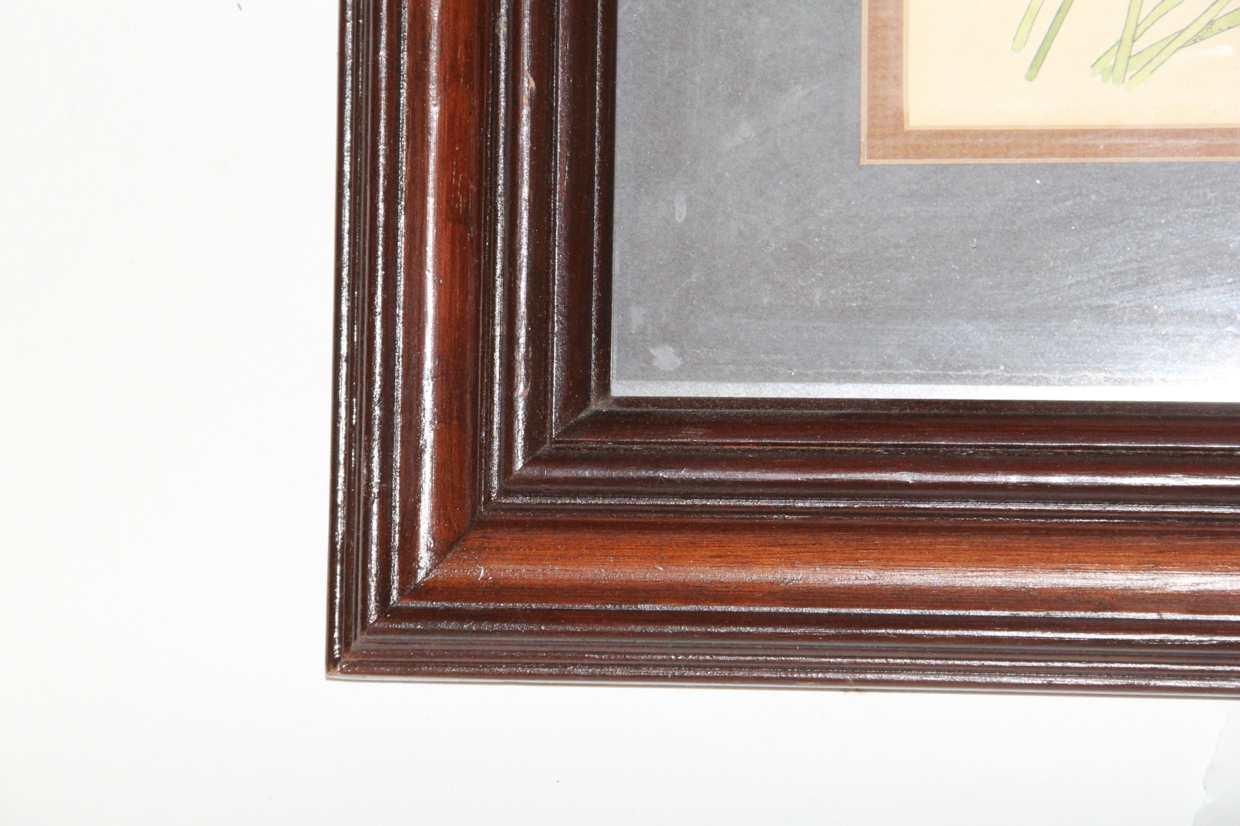 Don Easterwood Signed Limited Edition Print of Ducks Landing