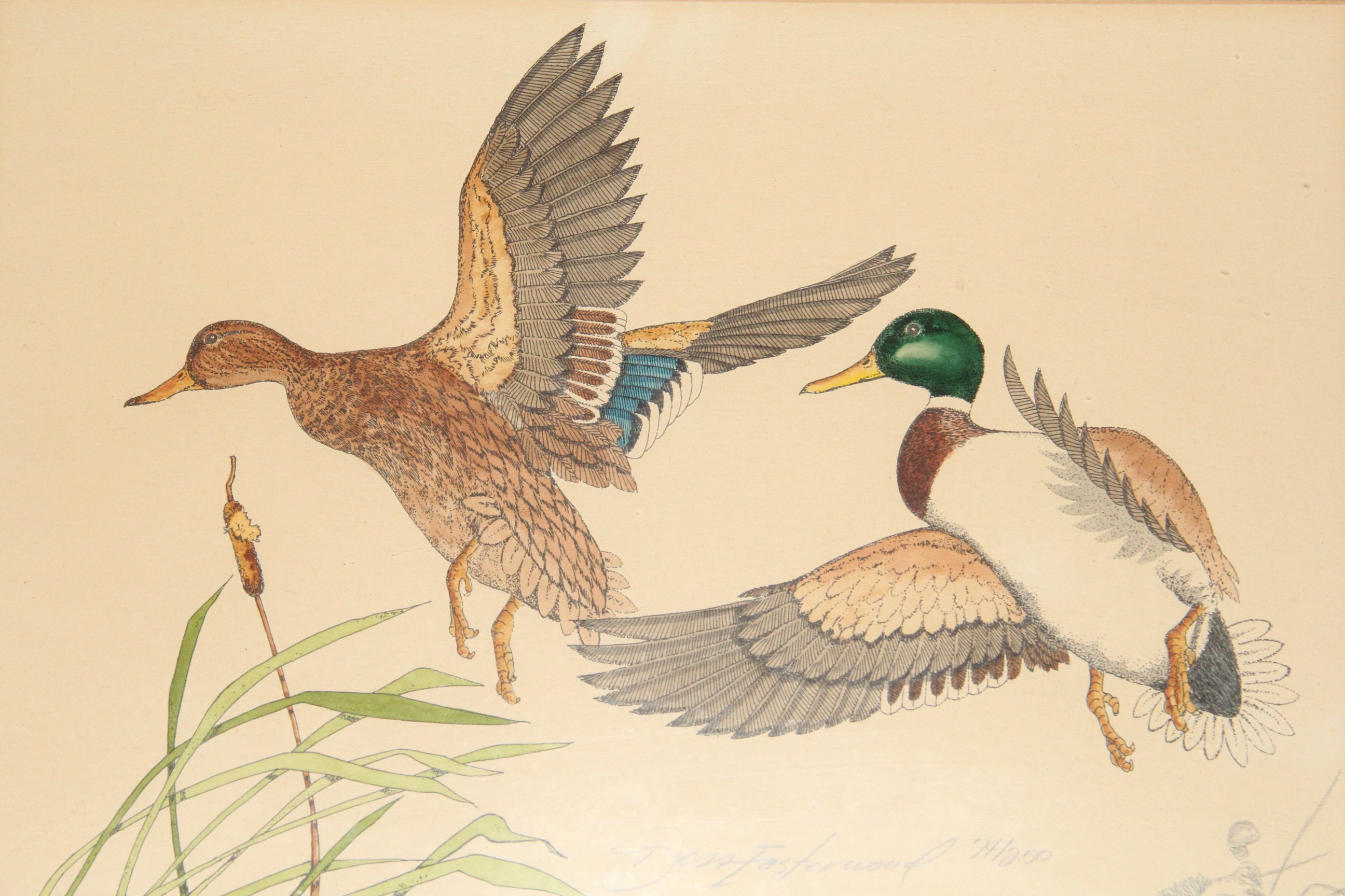 Don Easterwood Signed Limited Edition Print of Ducks Landing