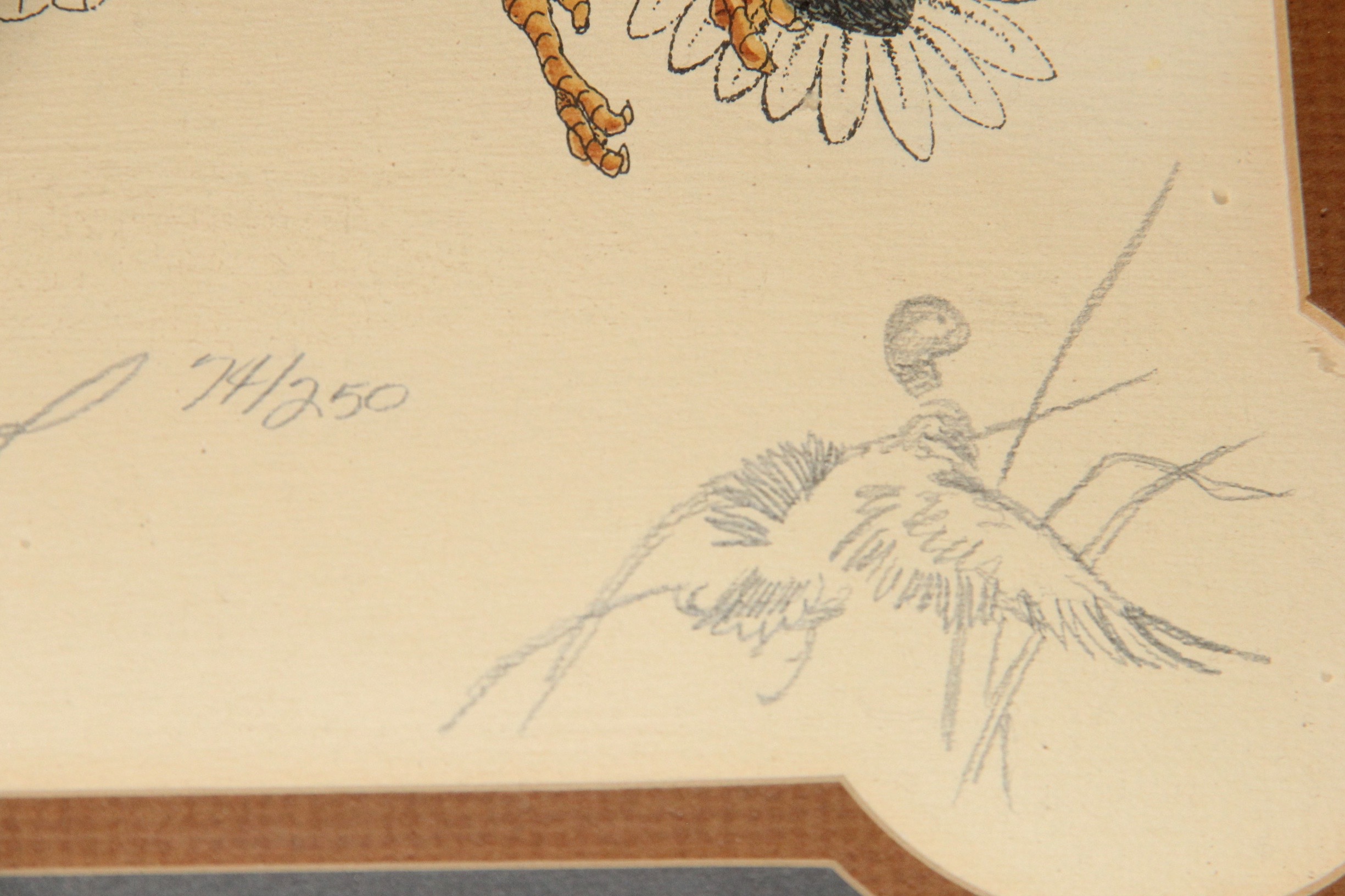 Don Easterwood Signed Limited Edition Print of Ducks Landing