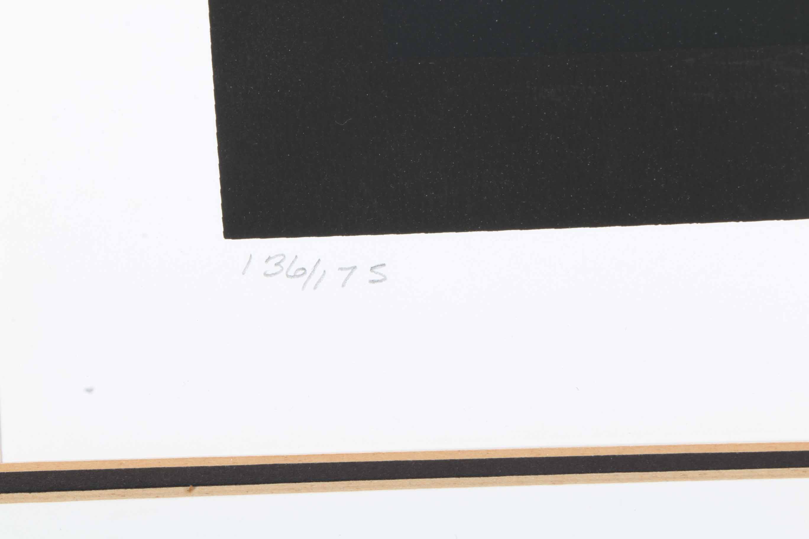 Mark Rowland Limited Edition Serigraph "Varium"