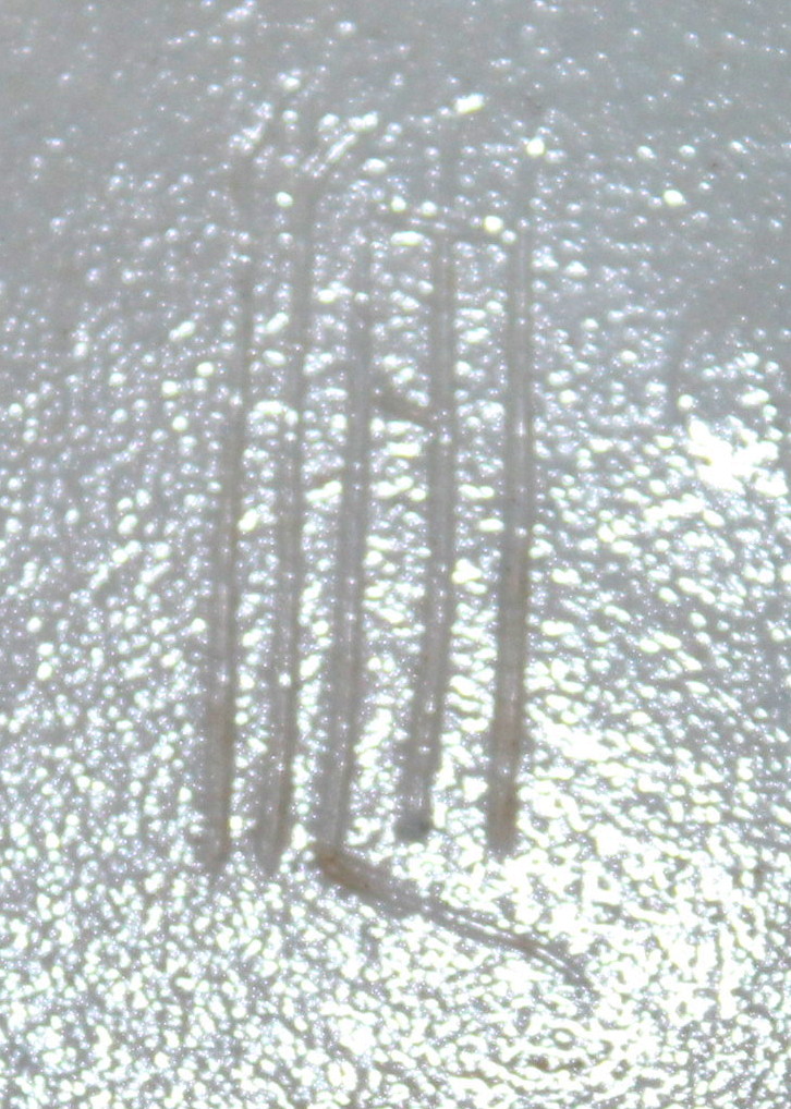 Low  Blue Rookwood Bowl