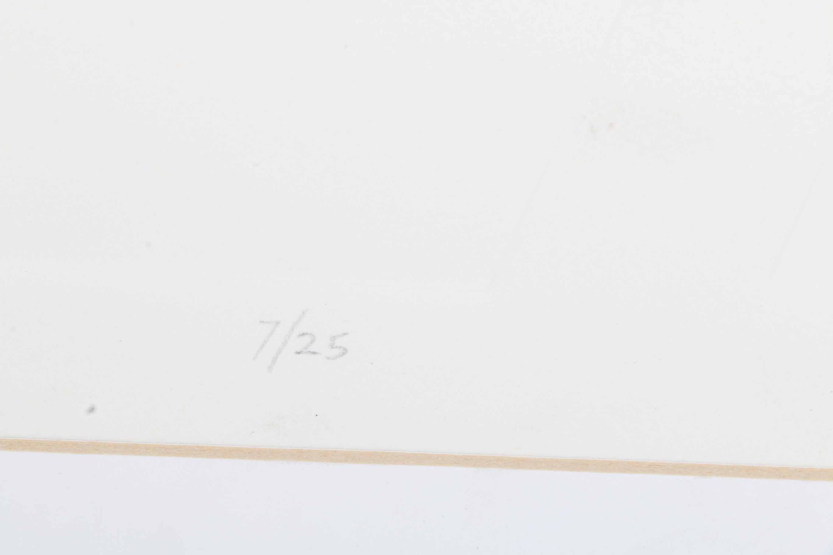 Limited Edition M. Feinberg Serigraph "Last Vestige"