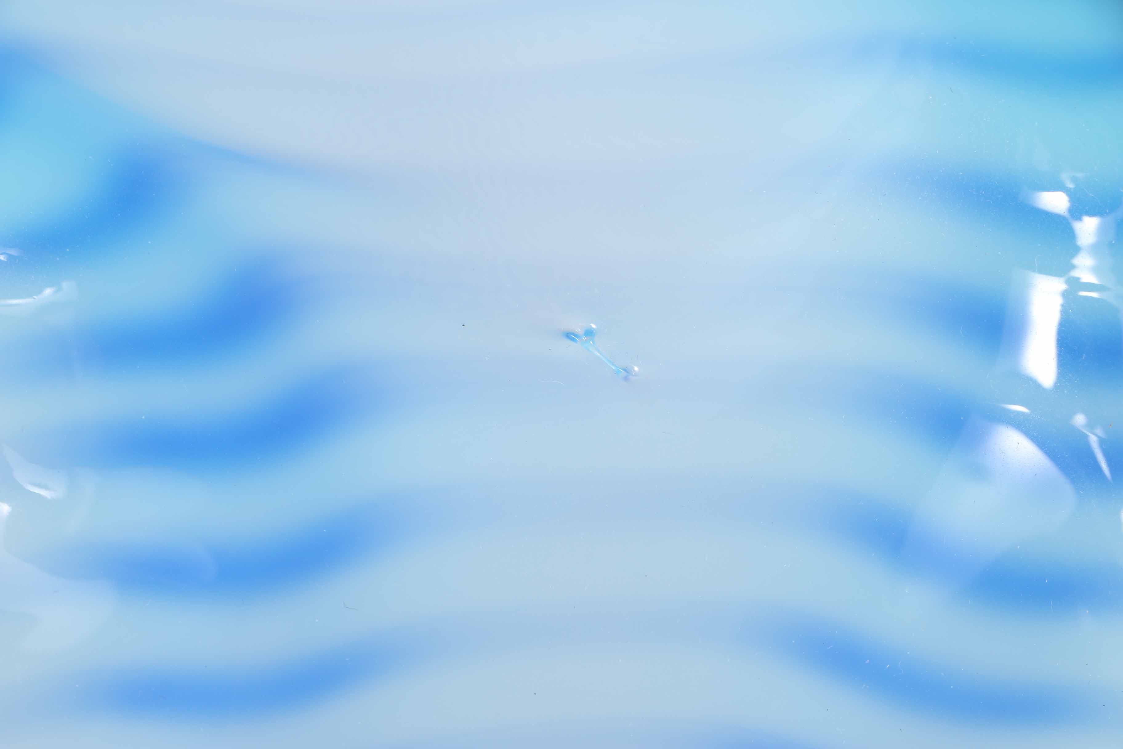 Dale Chihuly "Seaforms" Sculpture