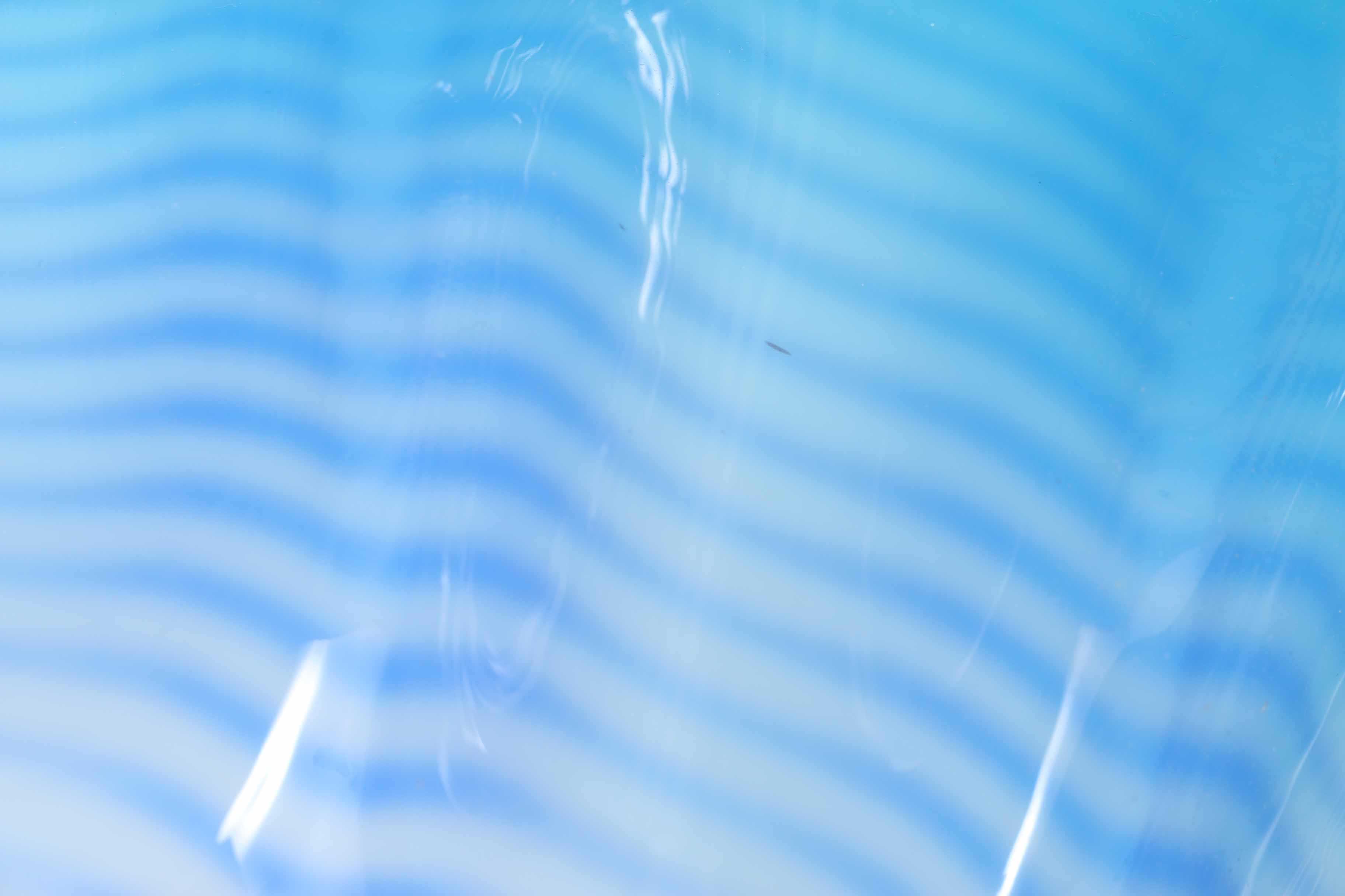 Dale Chihuly "Seaforms" Sculpture