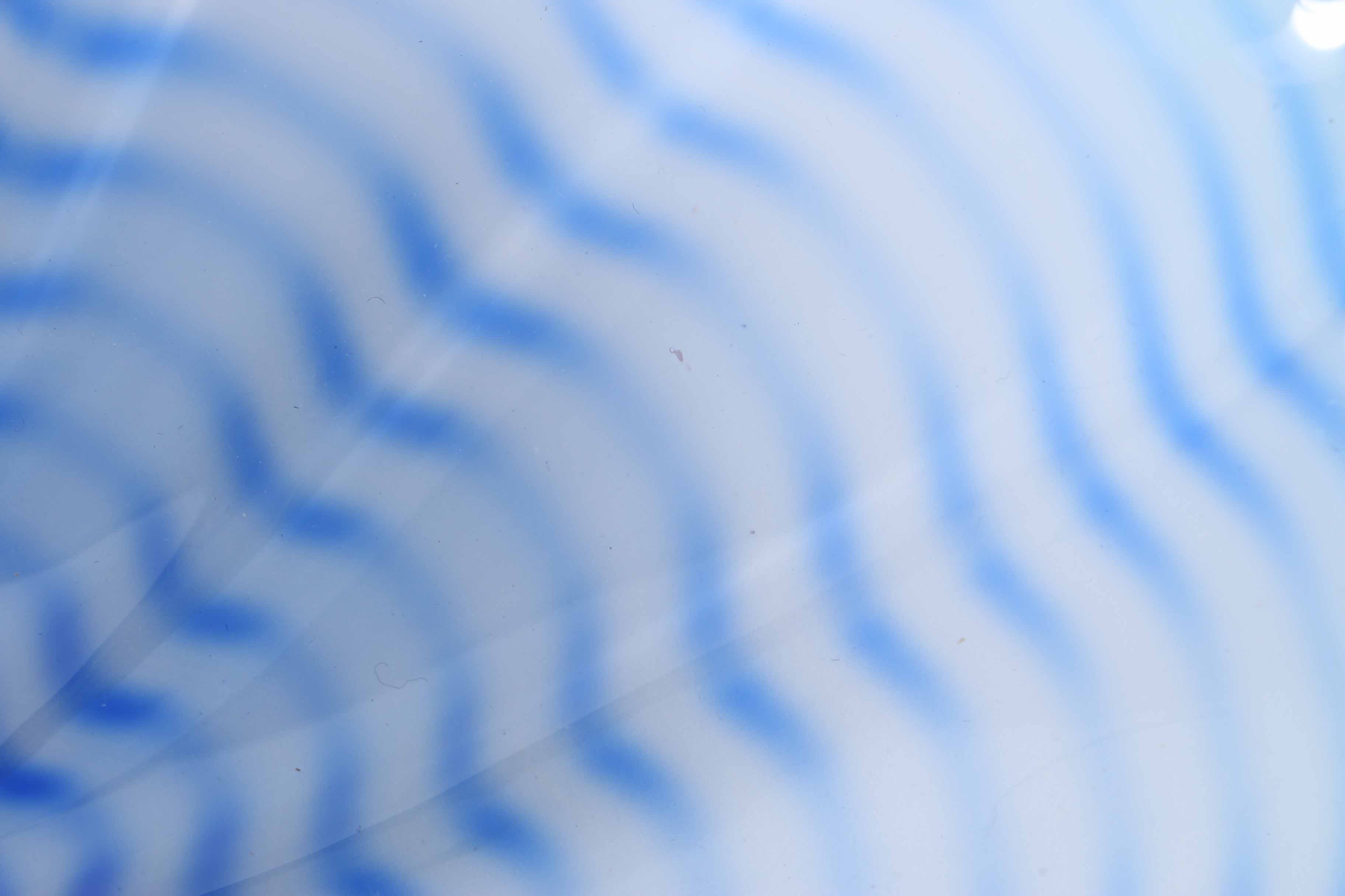 Dale Chihuly "Seaforms" Sculpture