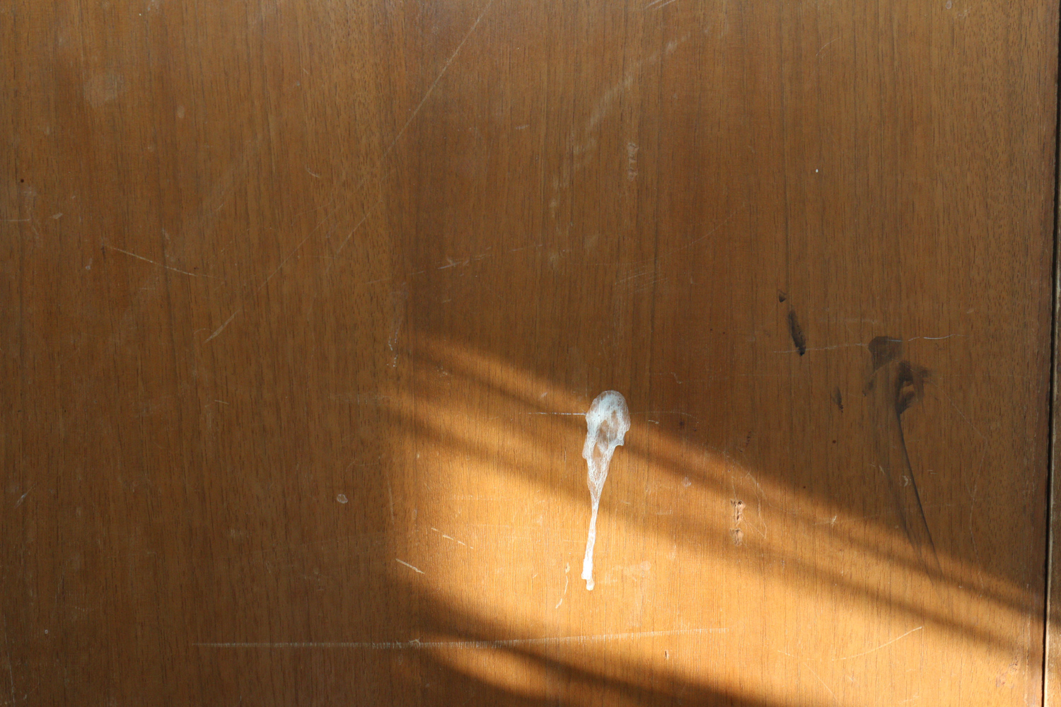 Vintage Cedar-Lined Wardrobe with Hunting Equipment