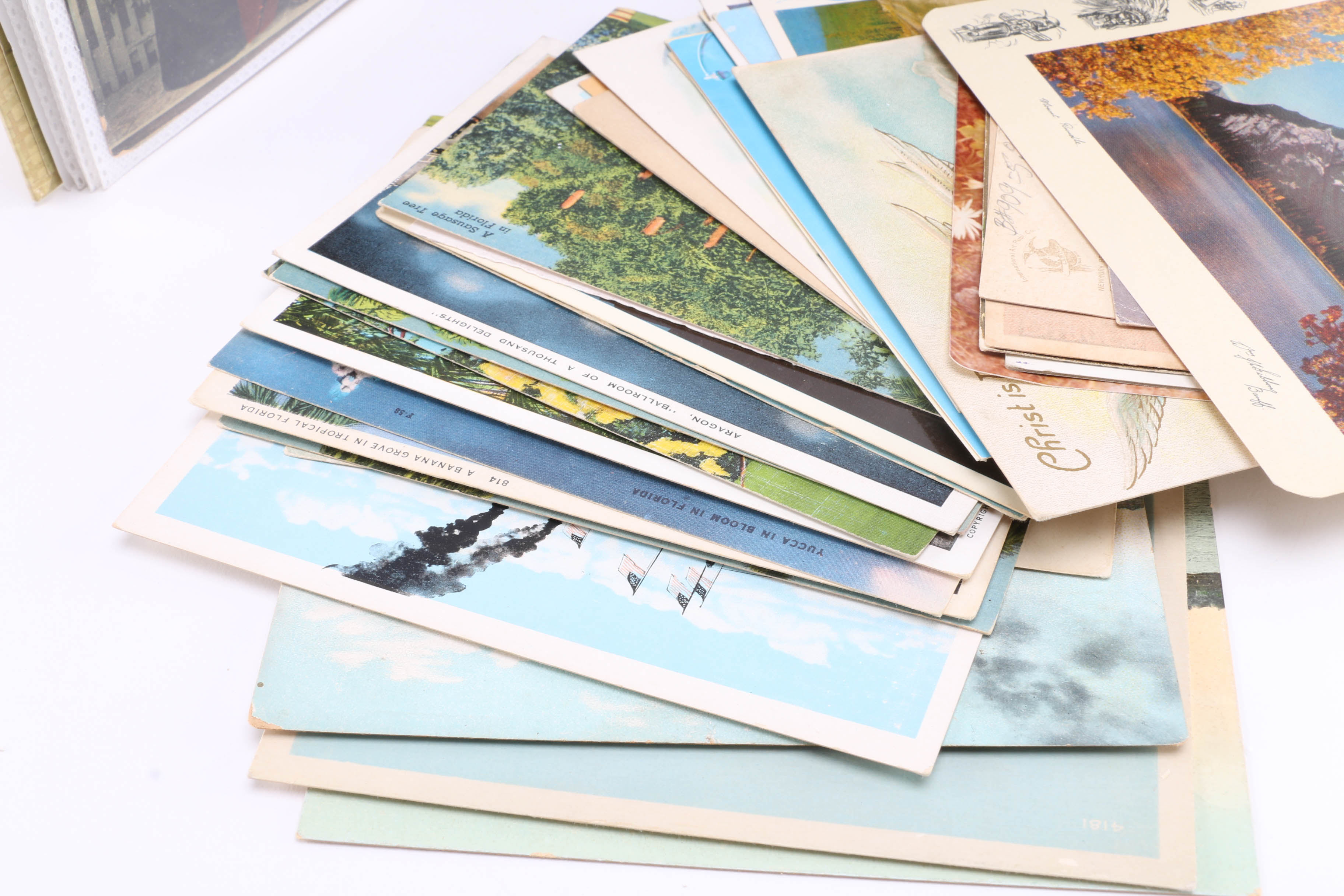 Collection of Antique and Vintage Postcards