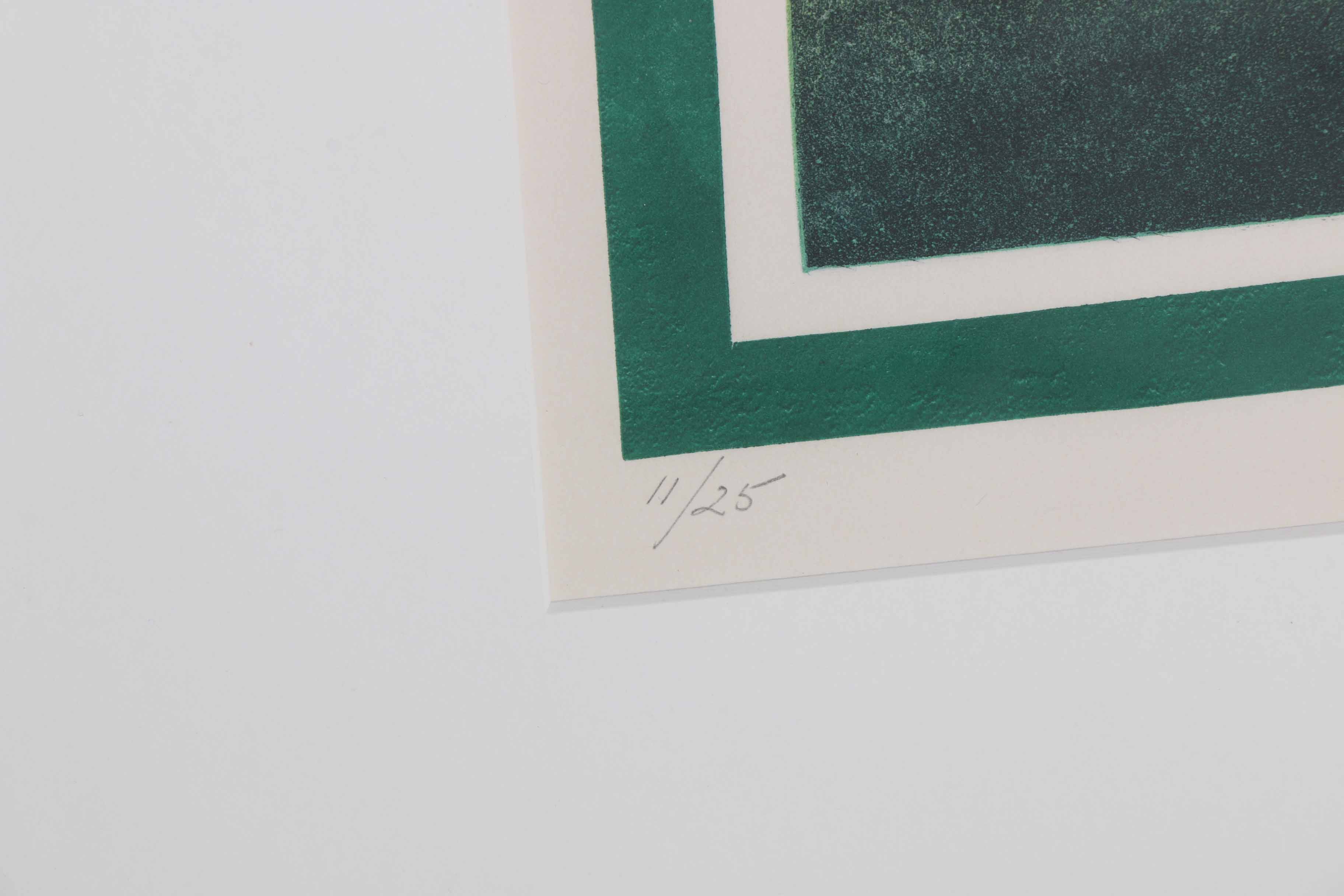 Limited Edition M. Feinberg Aquatint "Rhodes Landscape I"