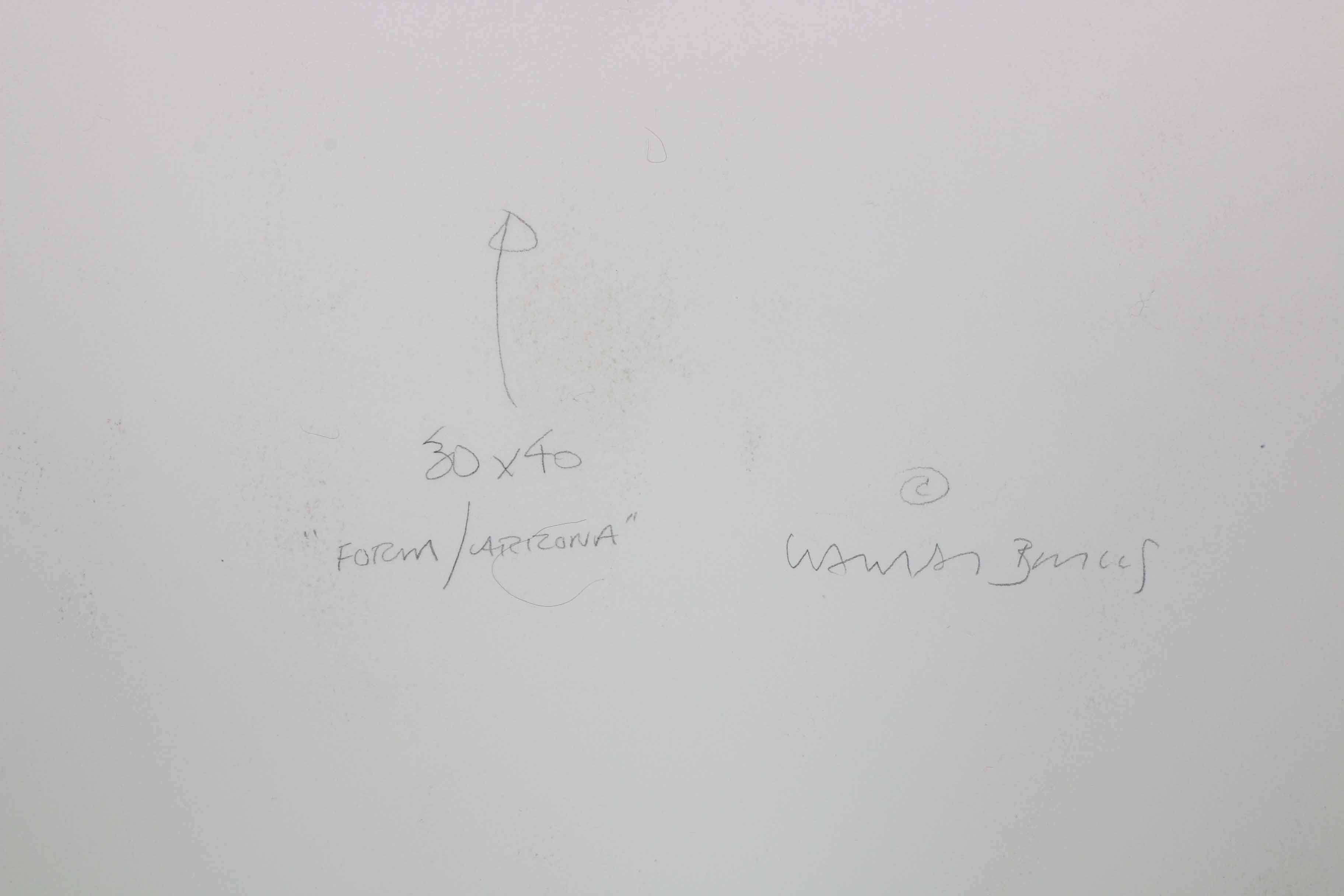 Acrylic and Watercolor on Paper "Form/Arizona"