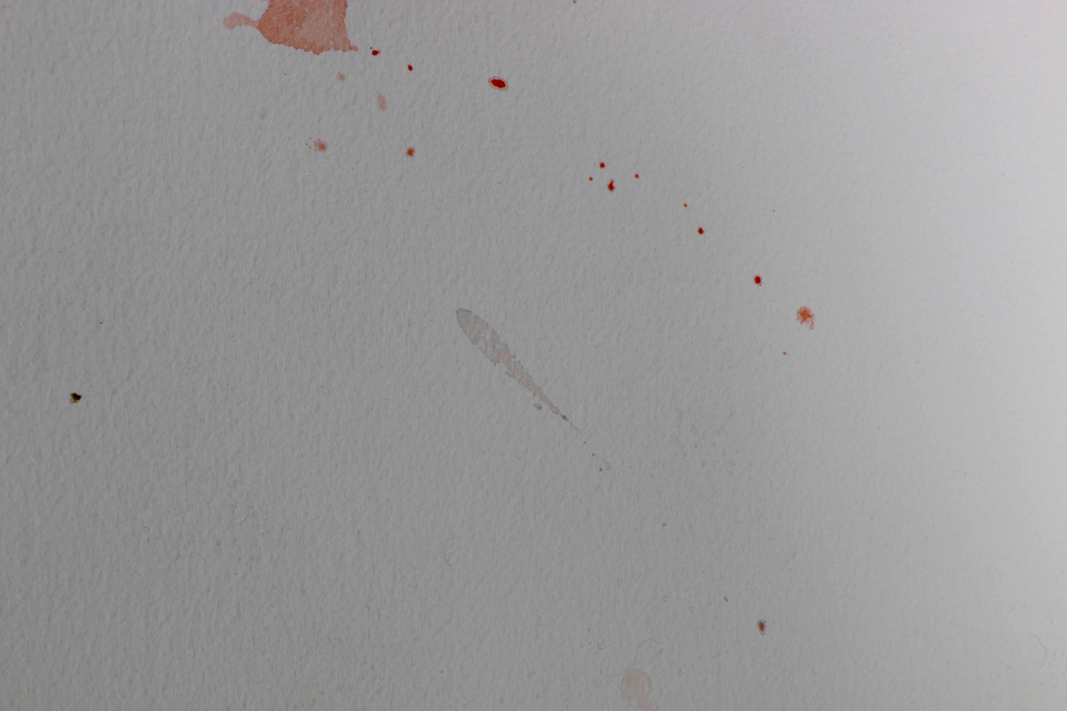 Acrylic and Watercolor on Paper "Form/Arizona"