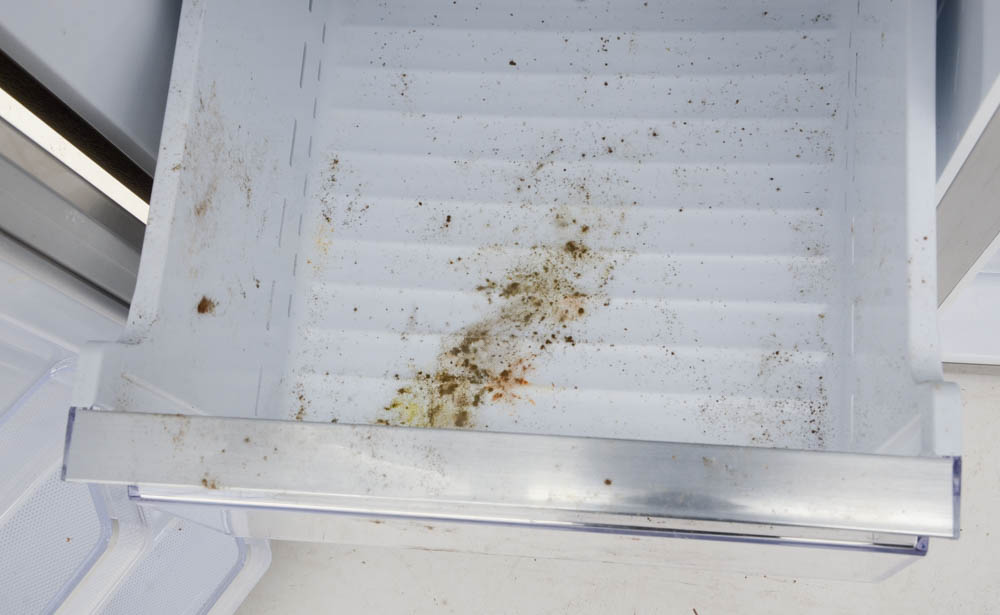 Samsung Flex Four-Door Refrigerator