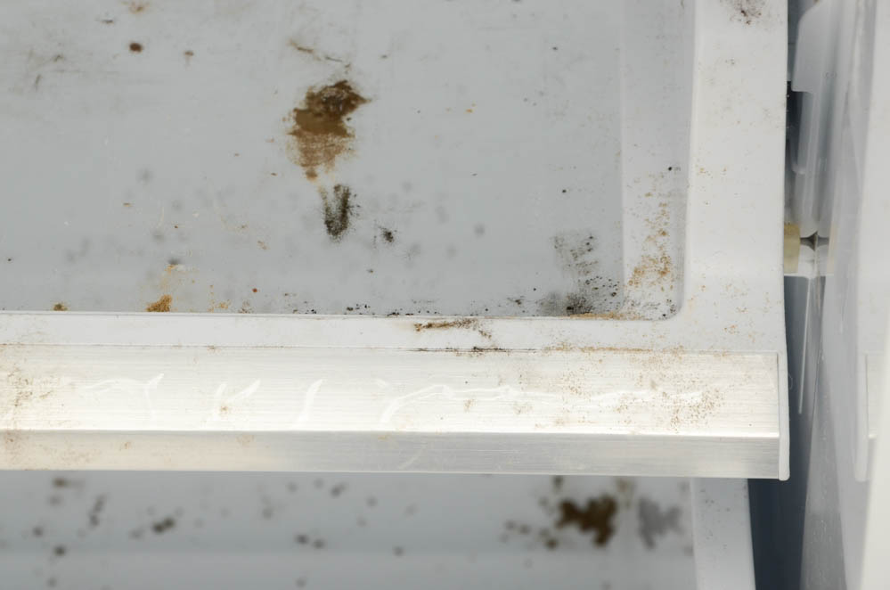 Samsung Flex Four-Door Refrigerator