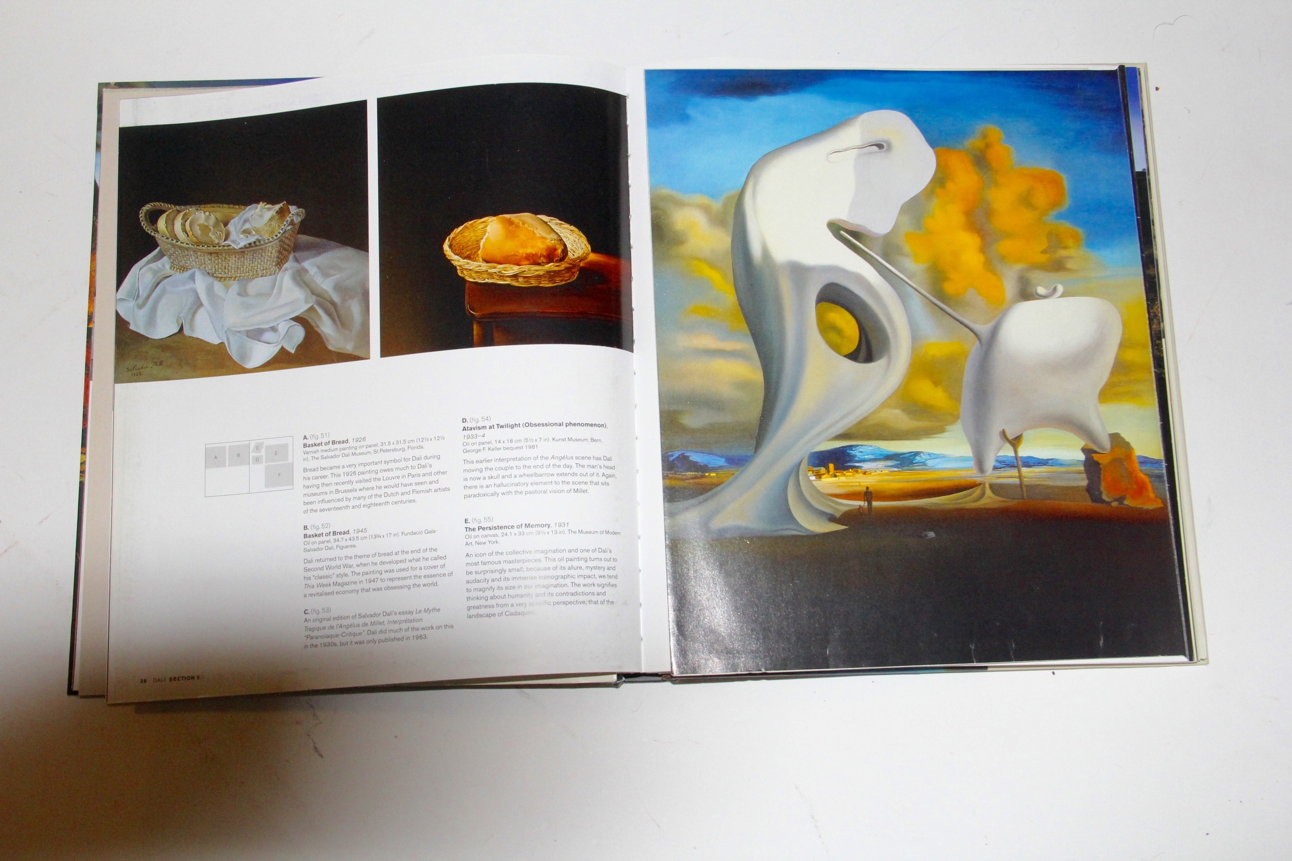 Two Books on Dali Including Taschen's "Dali"