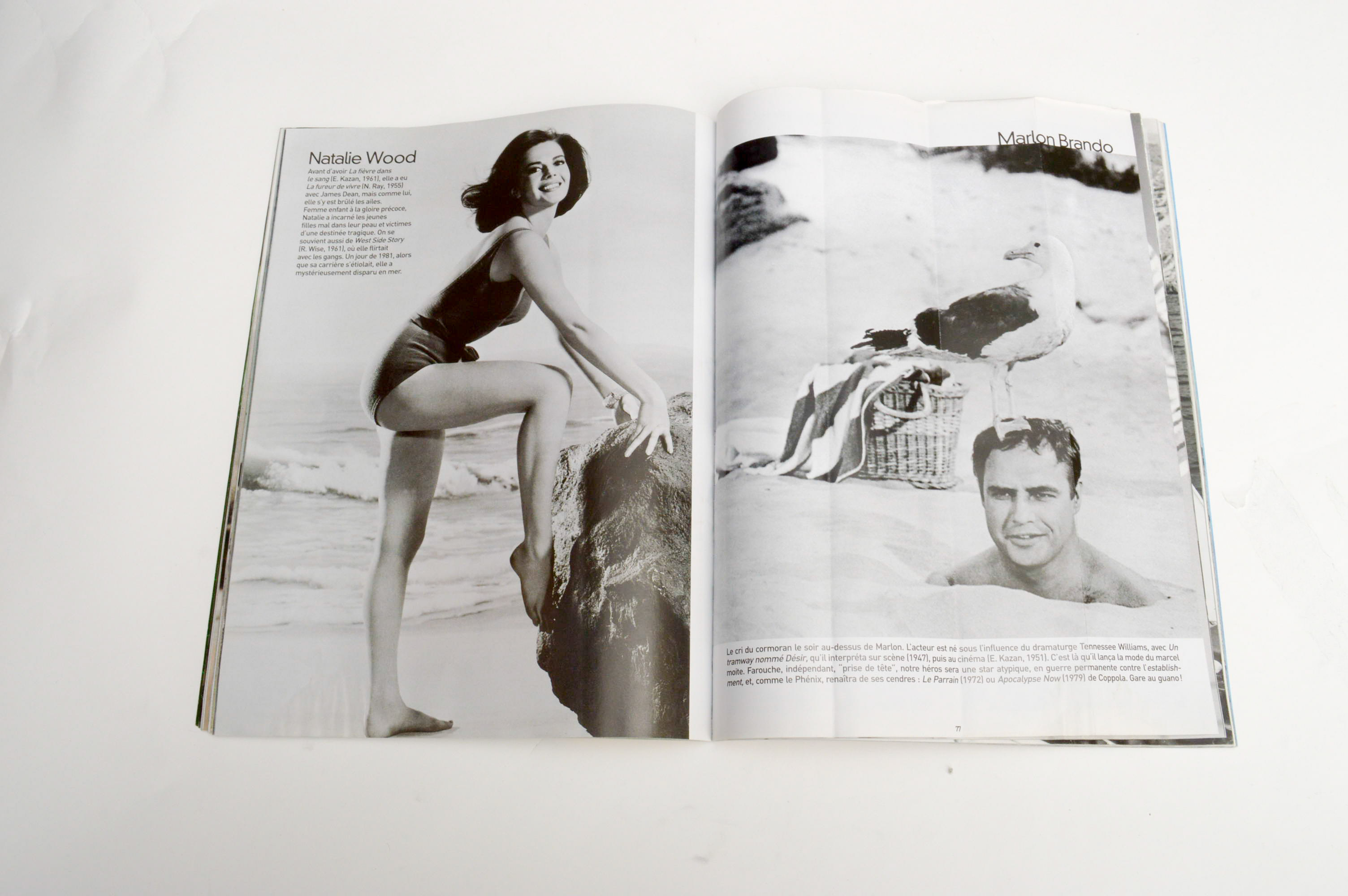 Collection of Books on Celebrities Including The Rolling Stones