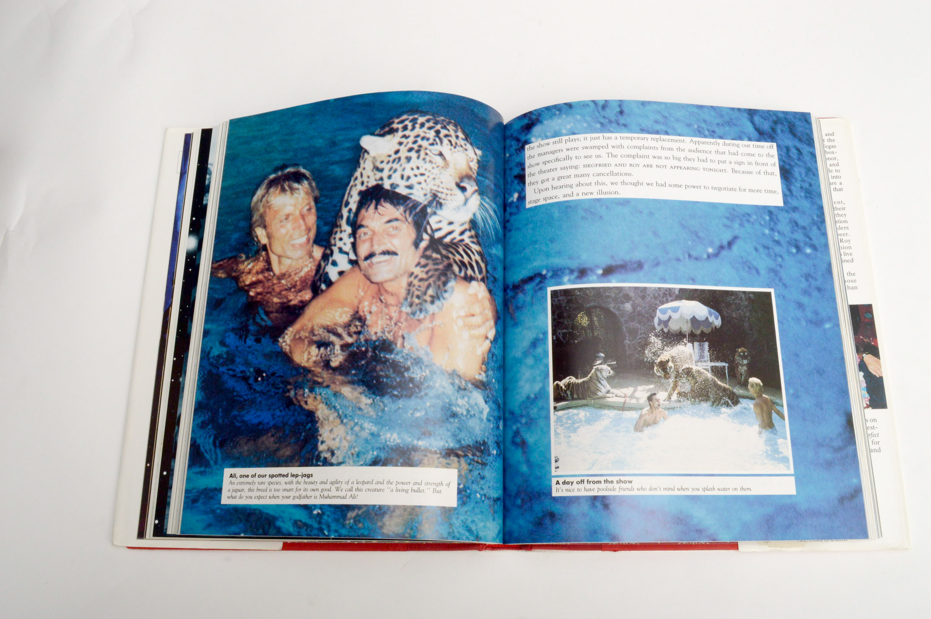 Collection of Books on Celebrities Including The Rolling Stones