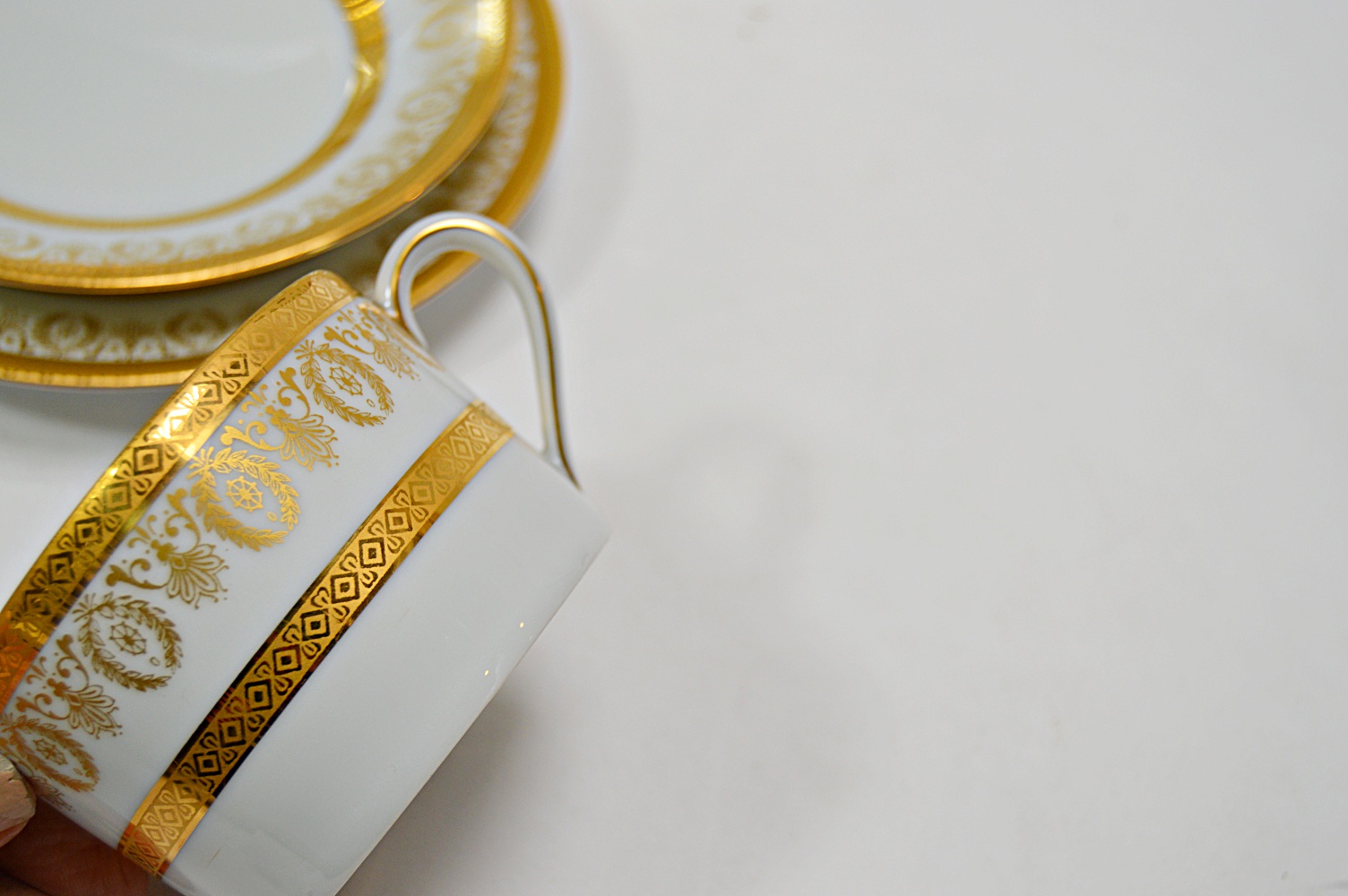 C.H. Field Haviland Limoges China Place Setting