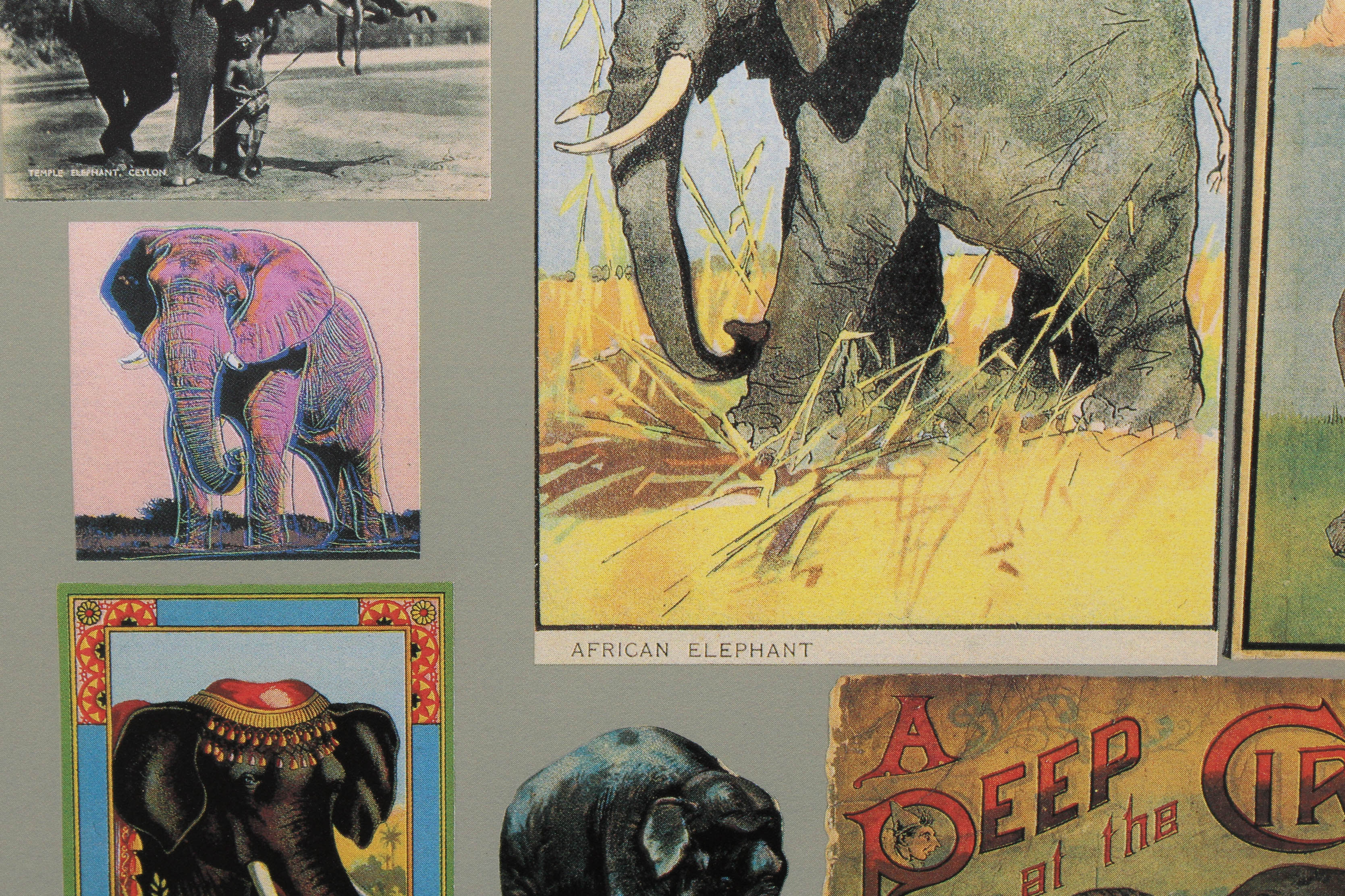 Peter Blake "P is For Pachyderm" Limited Edition Serigraph
