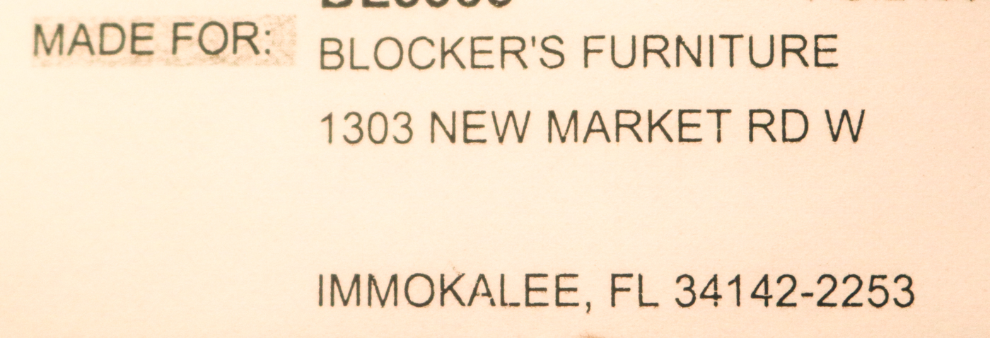 Floral Print Loveseat and Couch