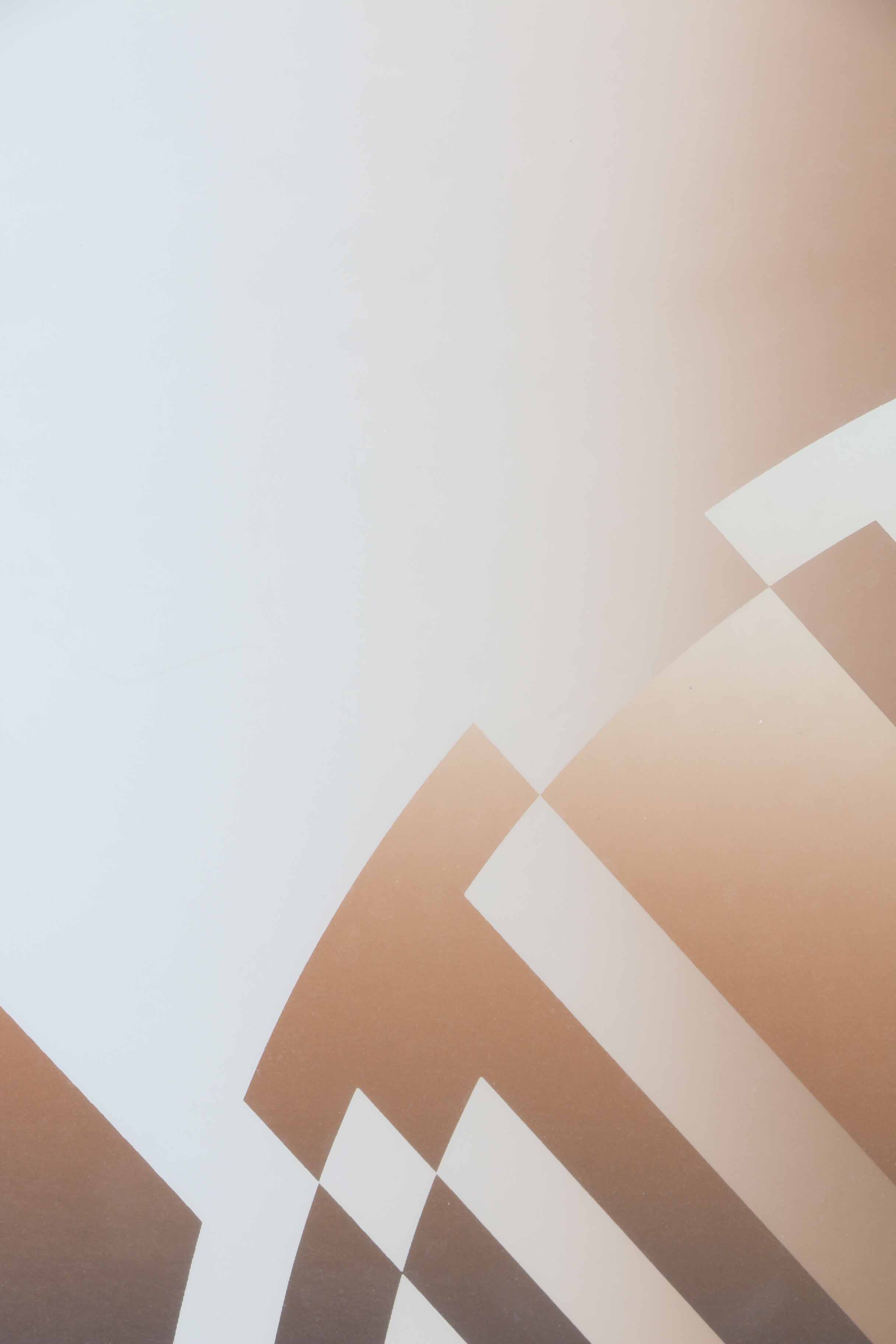 Signed Serigraph "Vector"