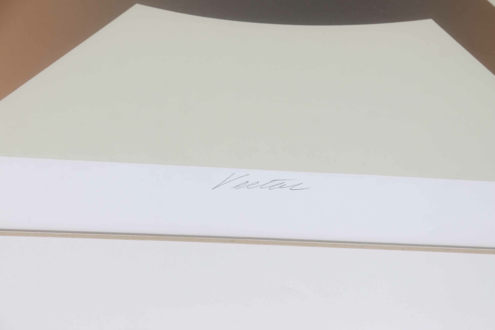 Signed Serigraph "Vector"