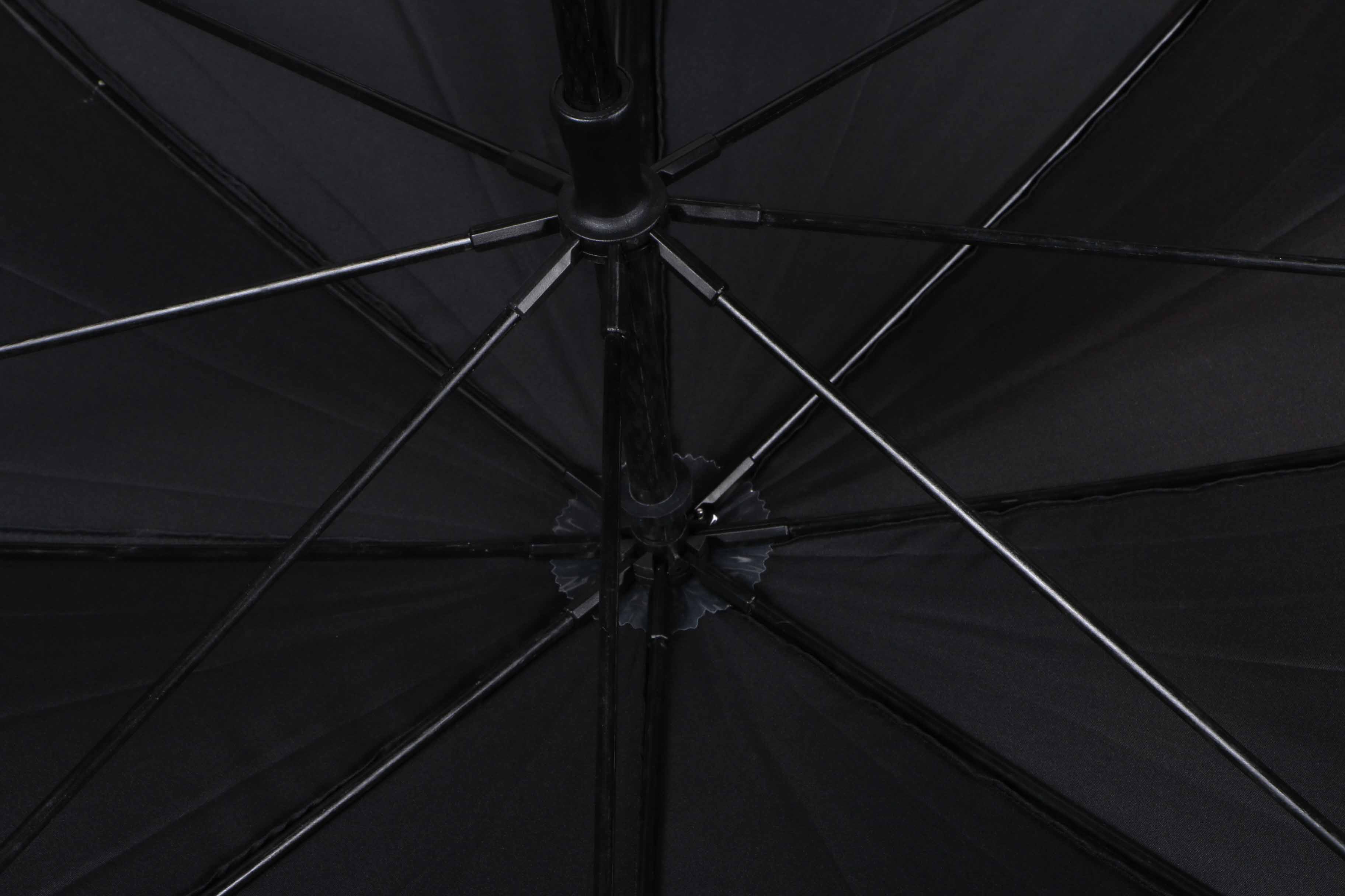 Scalamandre Zebra Umbrella