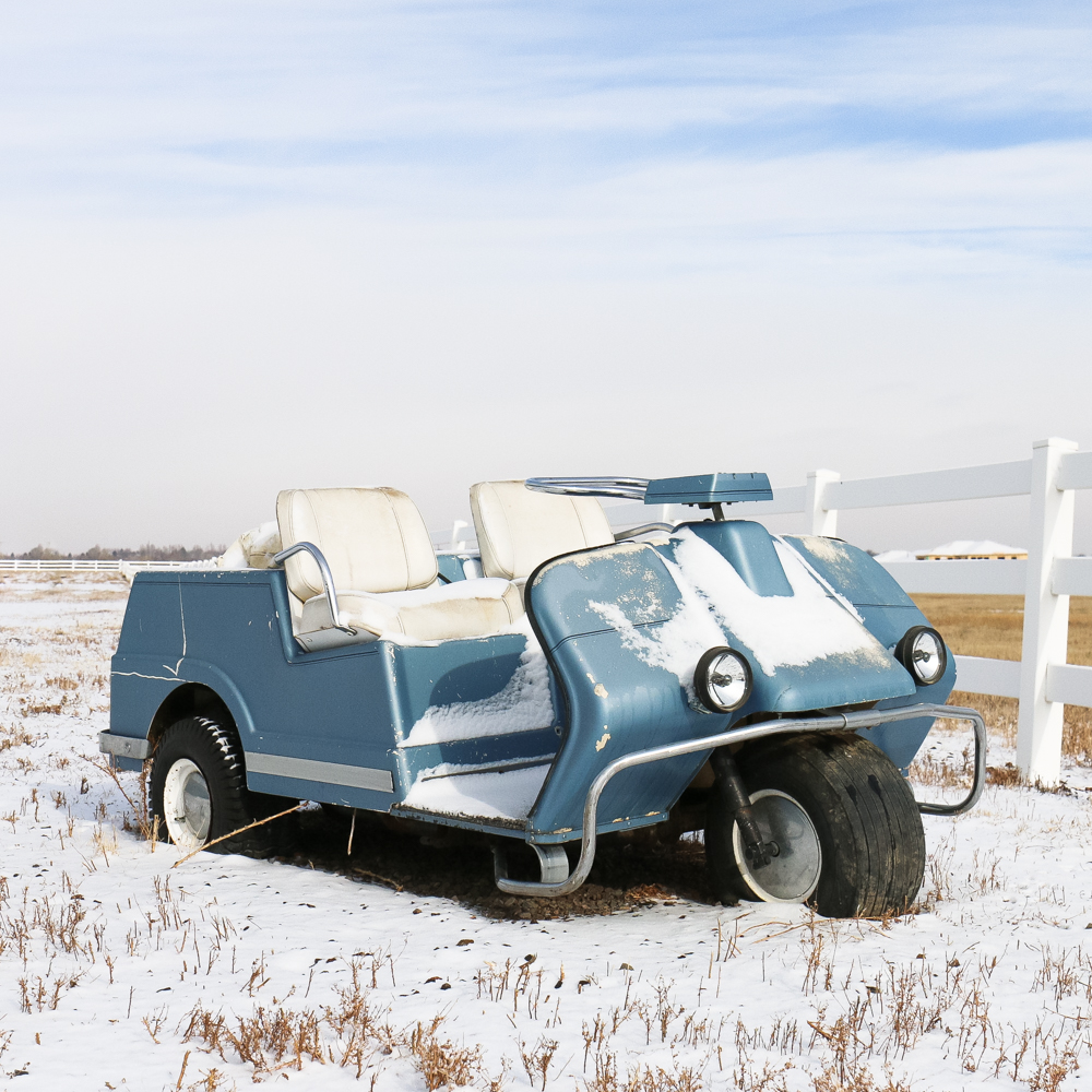 Vintage Harley-Davidson Golf Cart