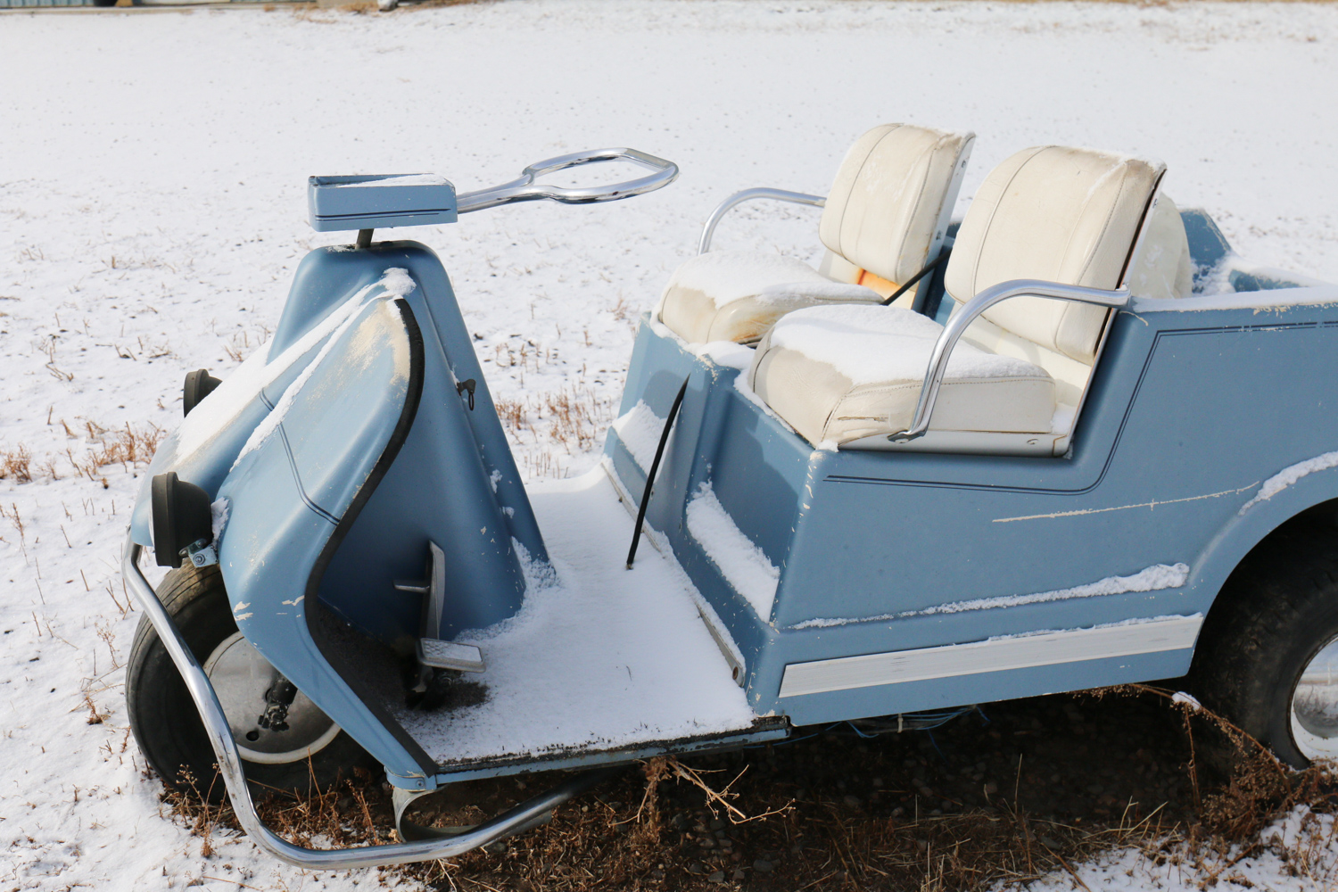 Vintage Harley-Davidson Golf Cart