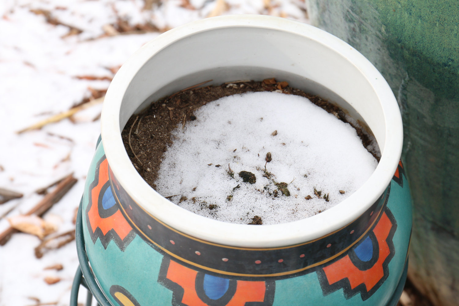 Blue Garden Collection