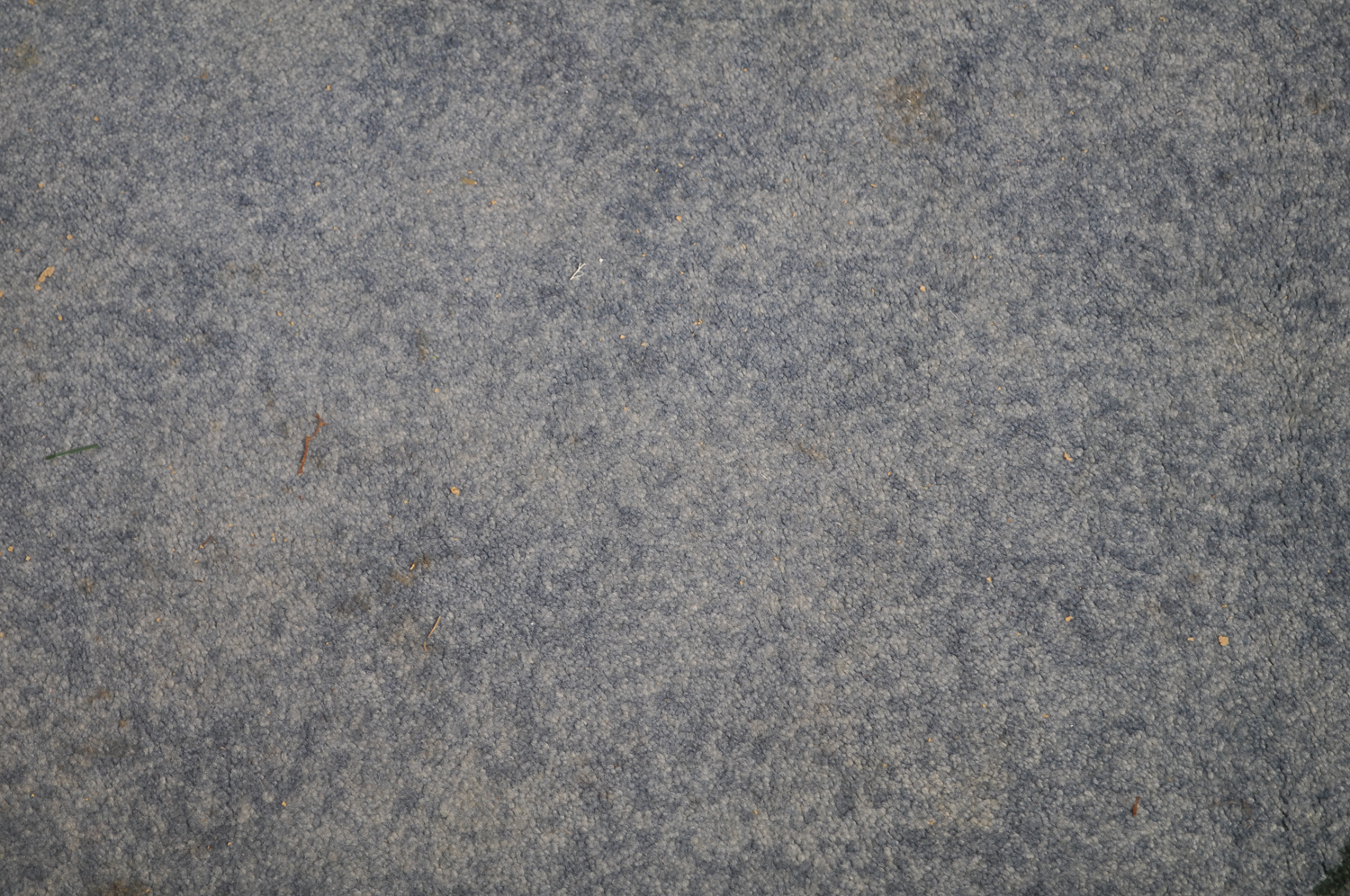 Fruit-Themed Area Rug and Mat