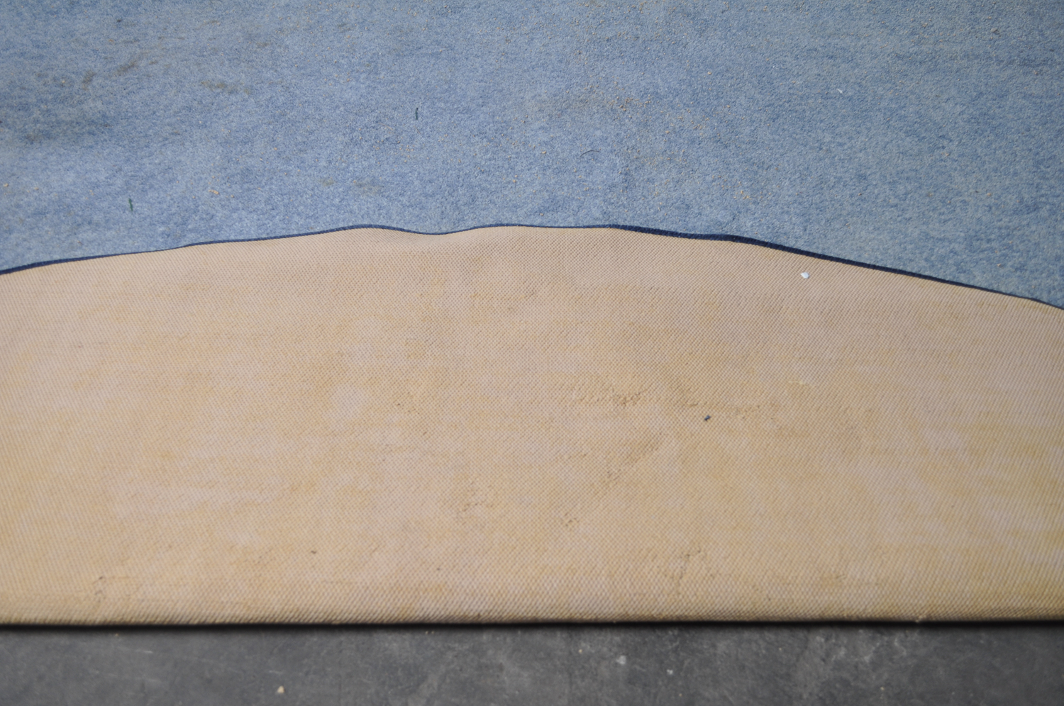 Fruit-Themed Area Rug and Mat