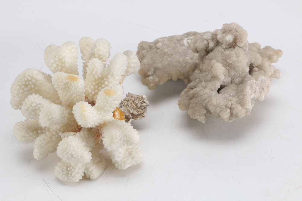 Collection of Sea Themed Items