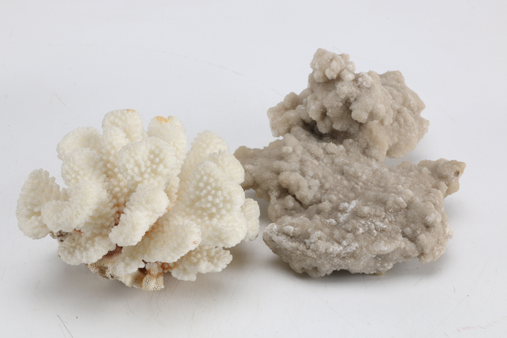 Collection of Sea Themed Items